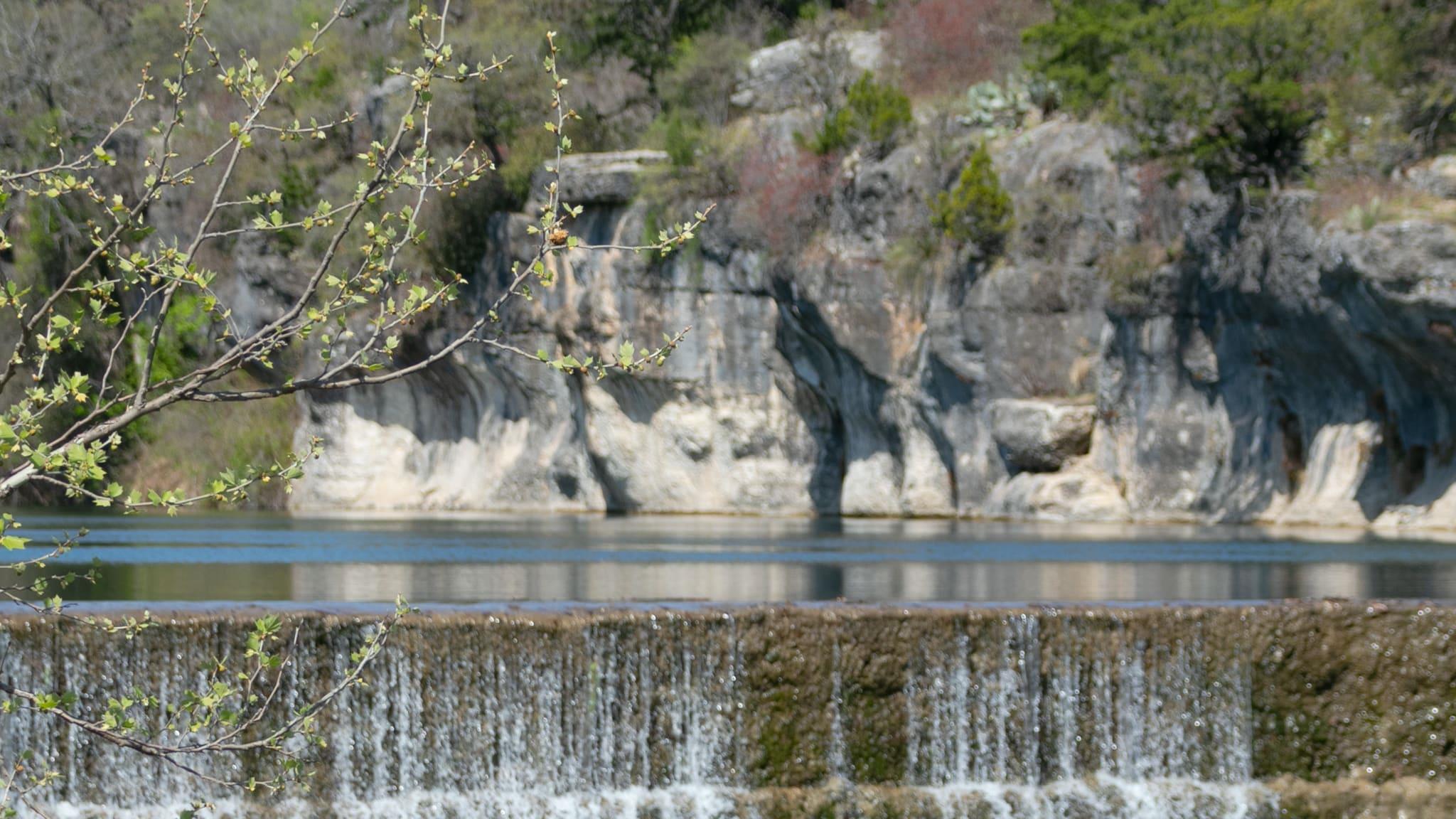 1437 Purple Petunia Ln, Georgetown, TX 78628