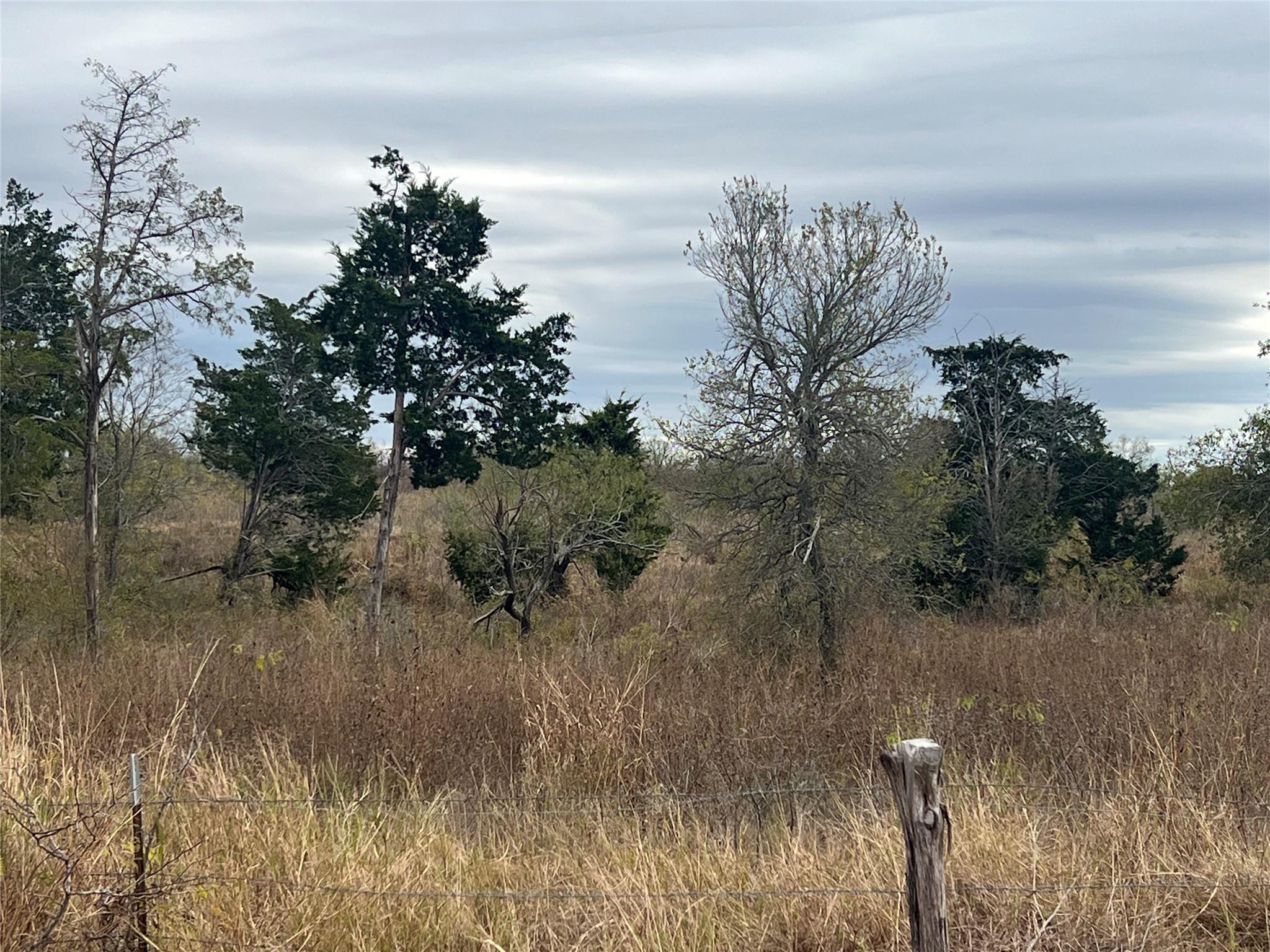 2500 NE County Road 466 Dr, Elgin, TX 78621