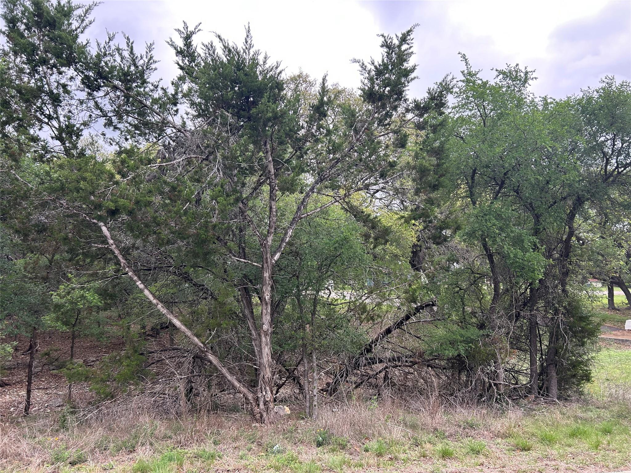 2 W El Camino Real, Wimberley, TX 78676