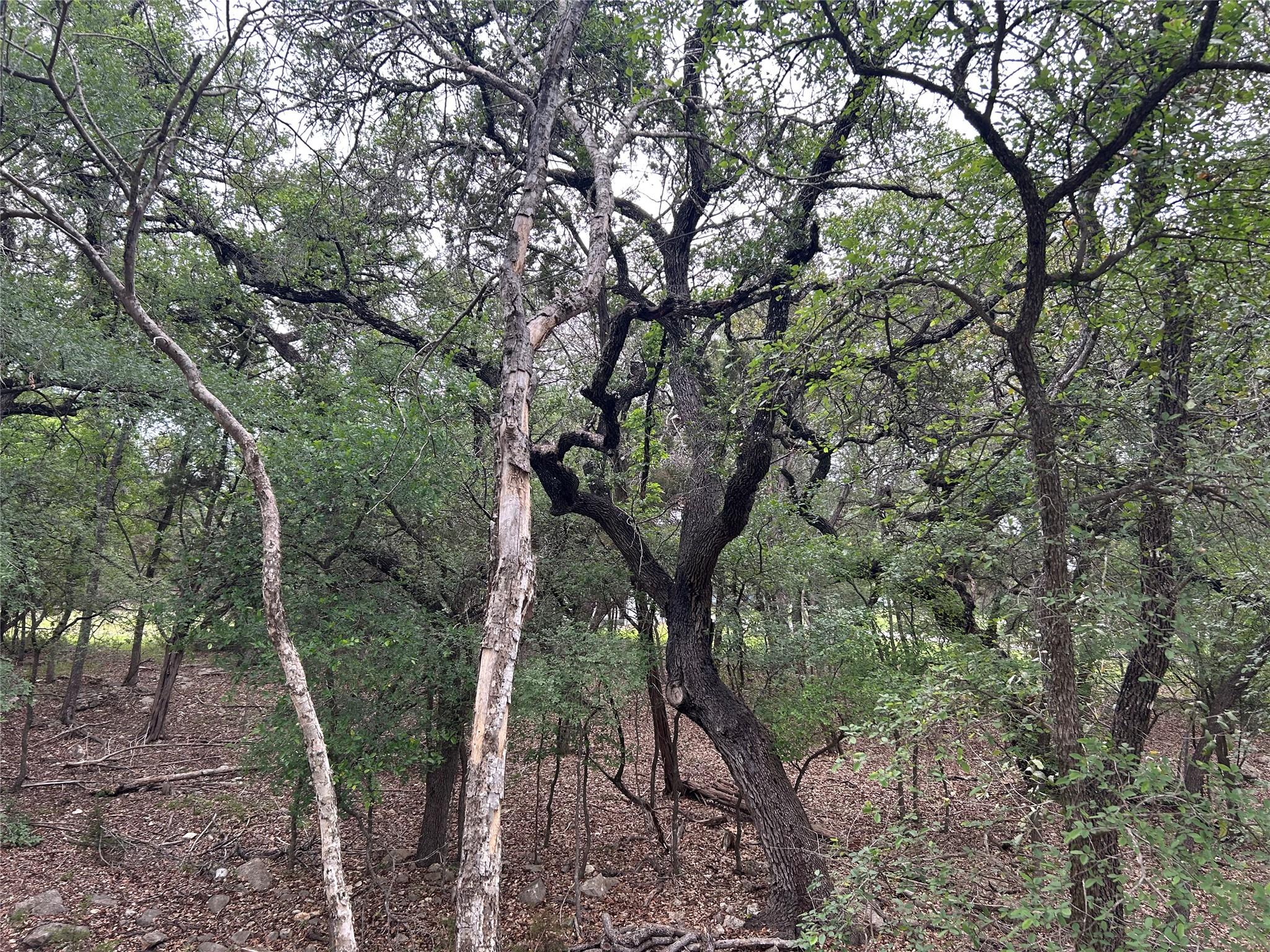 2 W El Camino Real, Wimberley, TX 78676