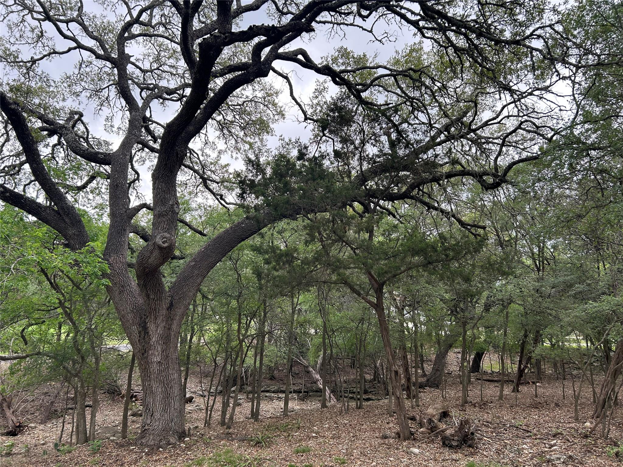 2 W El Camino Real, Wimberley, TX 78676