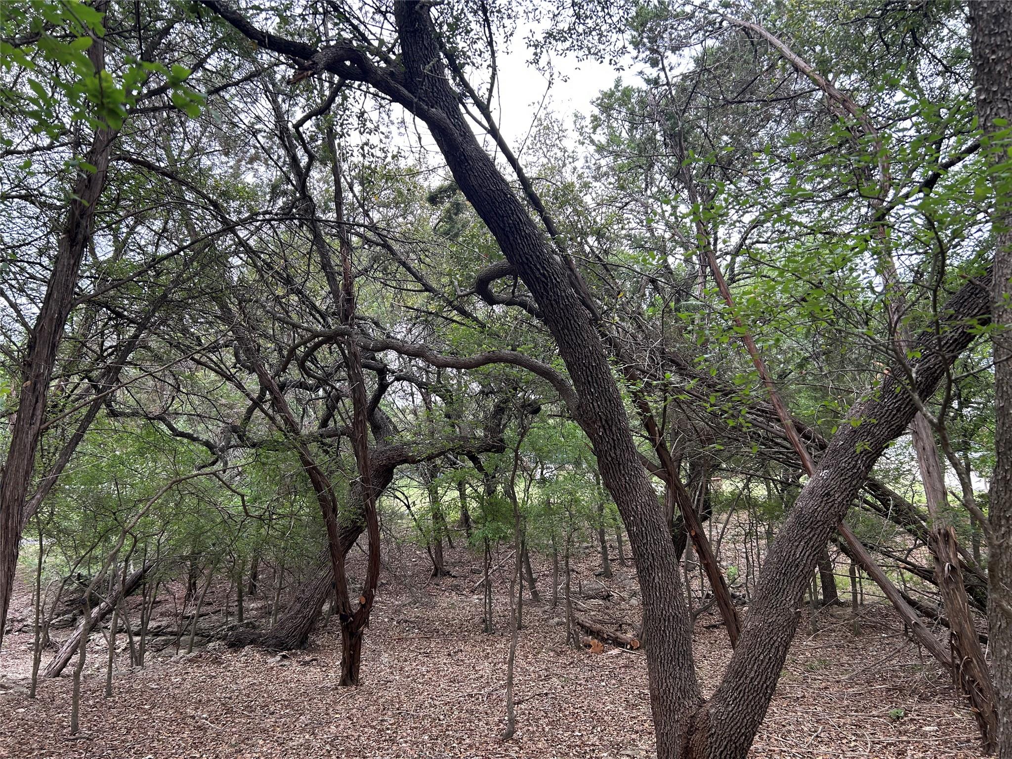 2 W El Camino Real, Wimberley, TX 78676