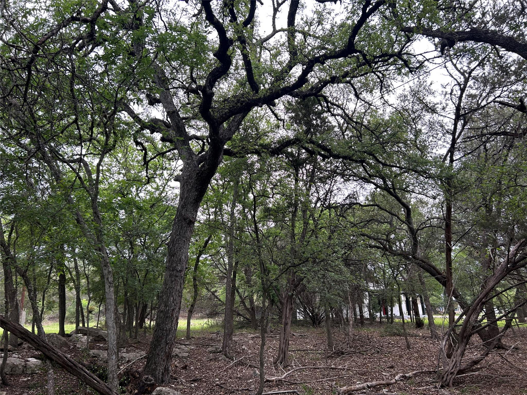 2 W El Camino Real, Wimberley, TX 78676