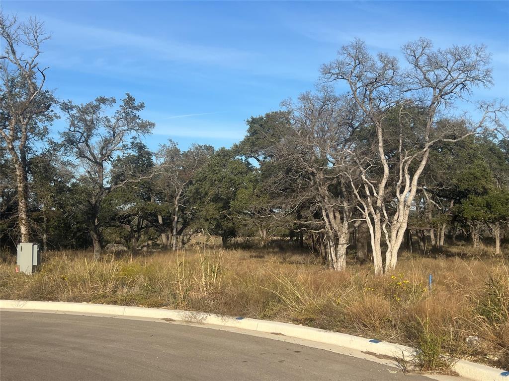 148 W Rio Ranch Rd, Liberty Hill, TX 78642