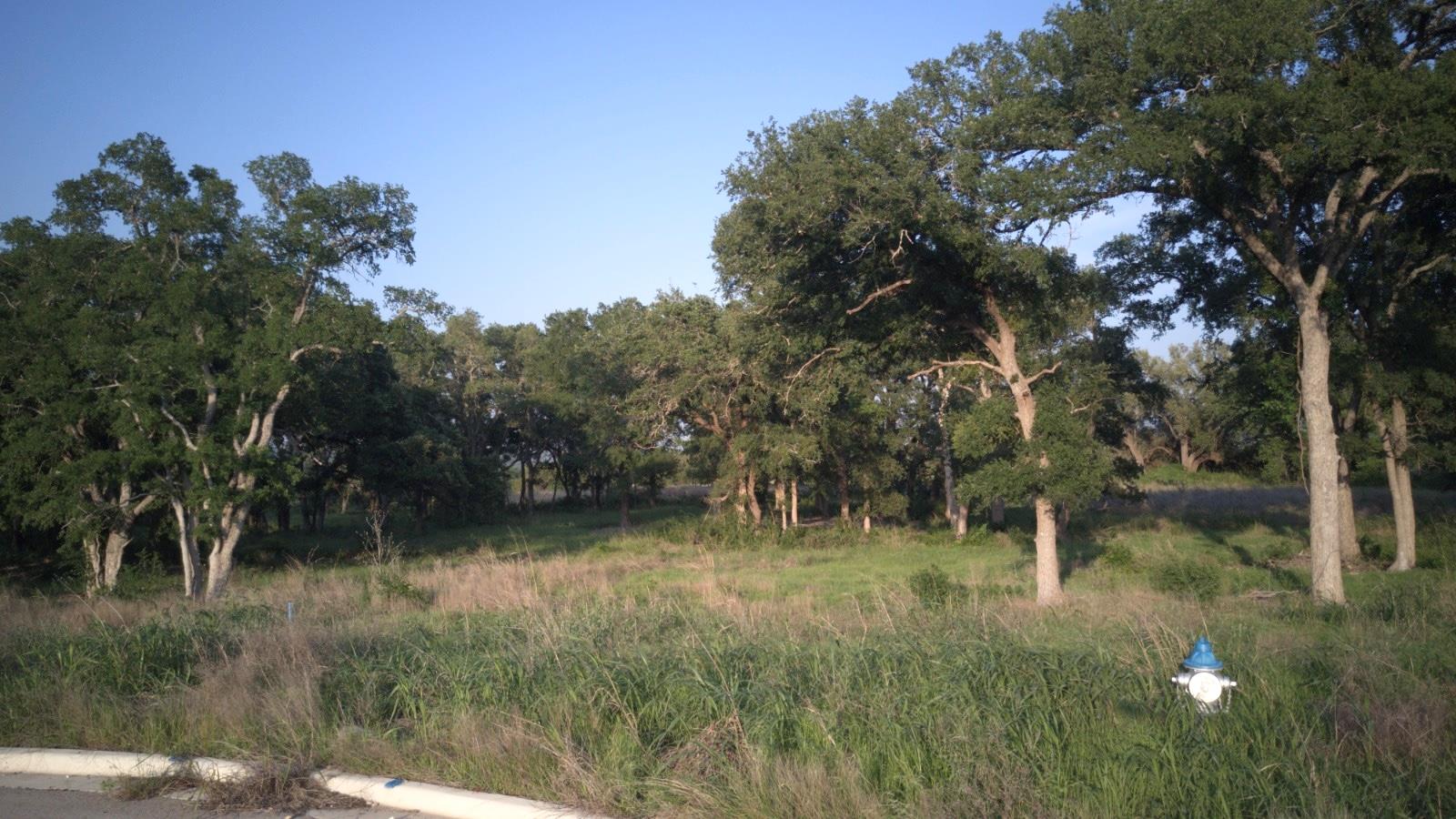 148 W Rio Ranch Rd, Liberty Hill, TX 78642