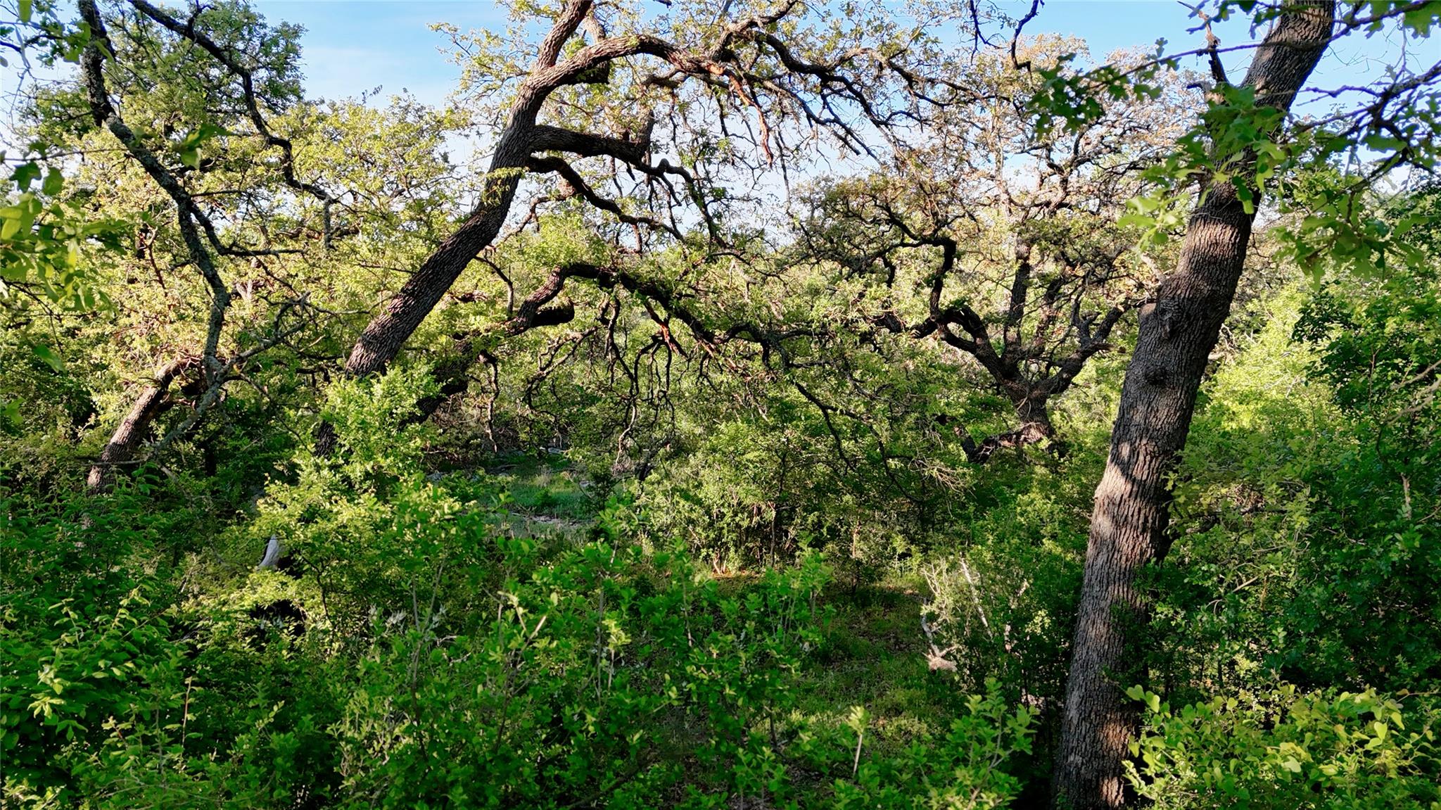 TBD Madden Ranch Rd, Llano, TX 78643