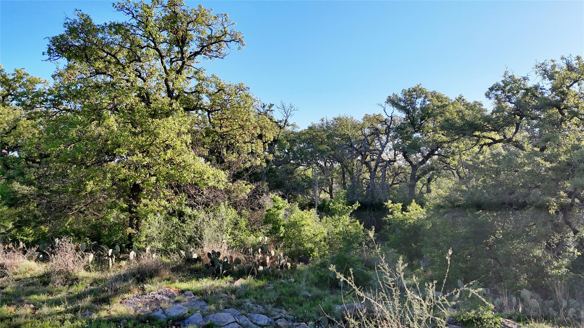 TBD Madden Ranch Rd, Llano, TX 78643