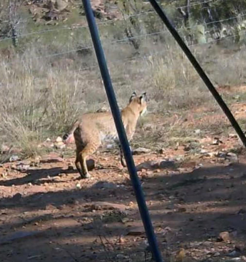 TBD Madden Ranch Rd, Llano, TX 78643