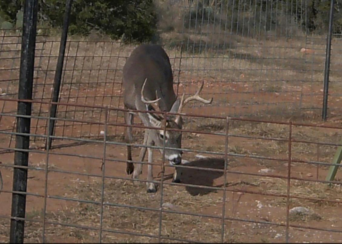 TBD Madden Ranch Rd, Llano, TX 78643
