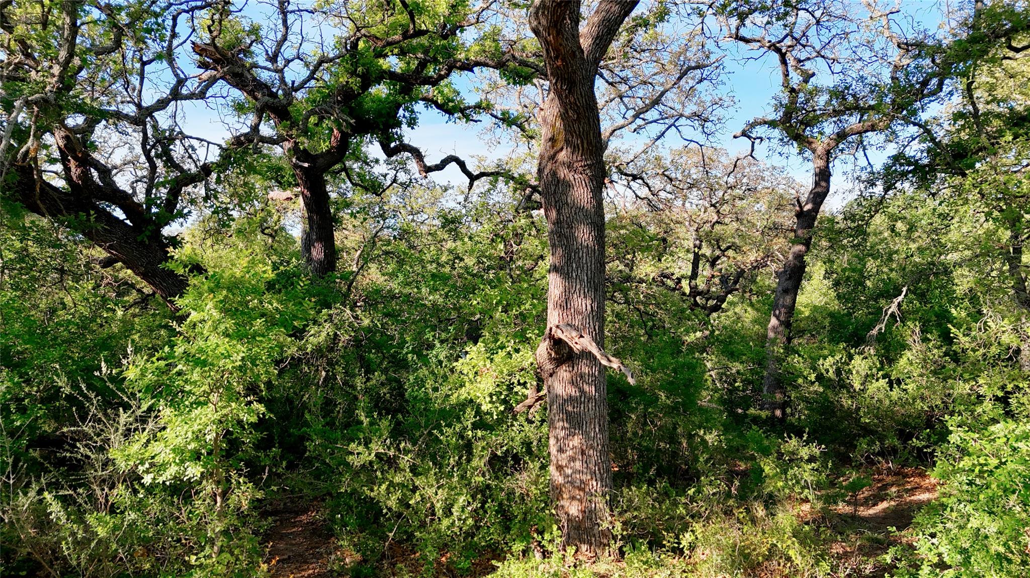 TBD Madden Ranch Rd, Llano, TX 78643