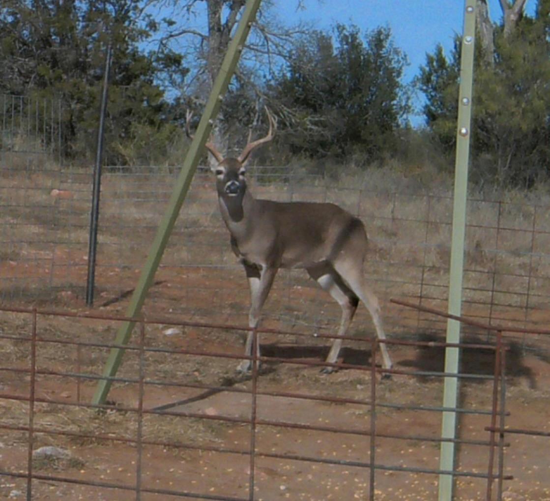 TBD Madden Ranch Rd, Llano, TX 78643