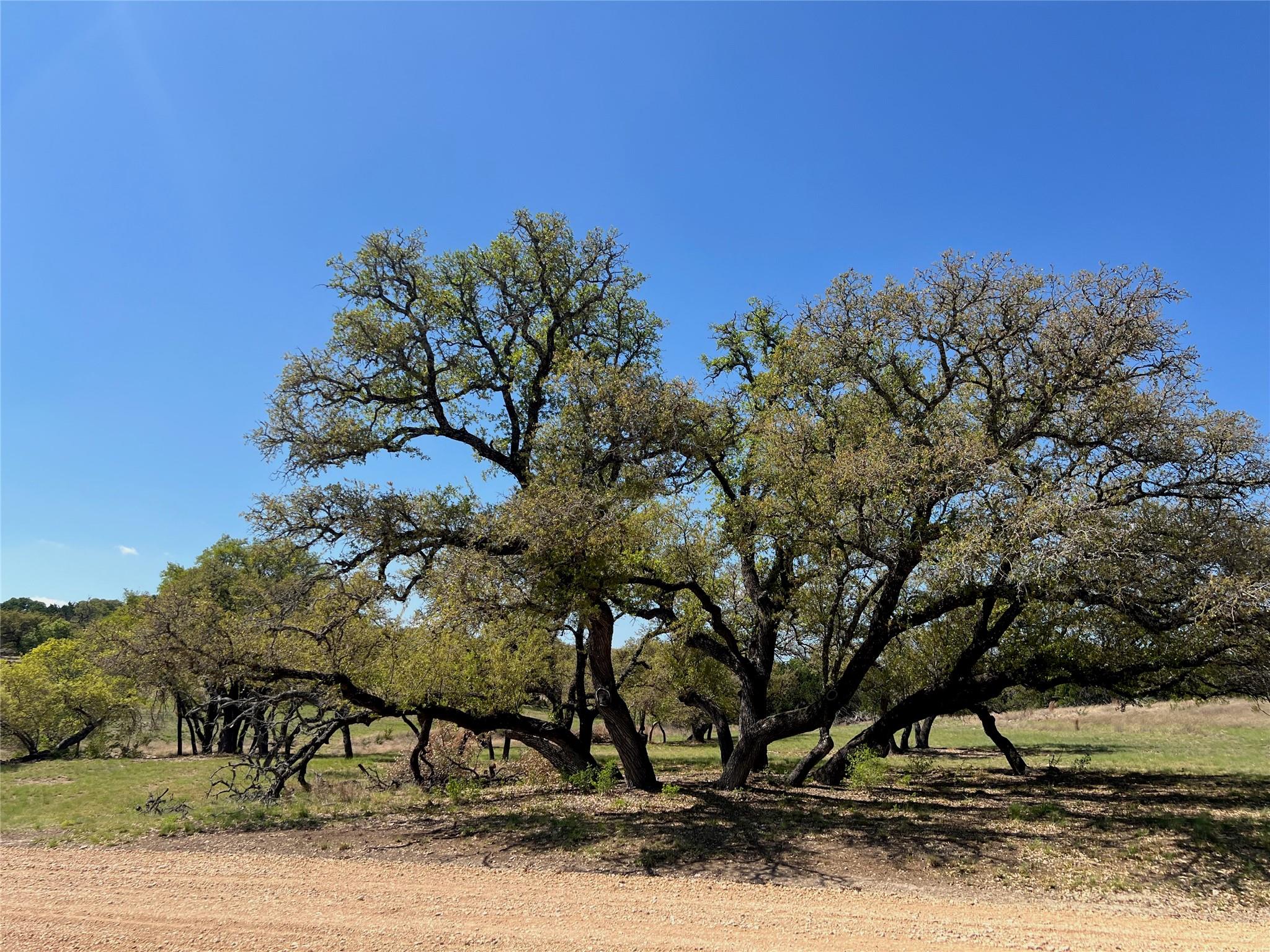 1 Barlow Dr, Briggs, TX 78608