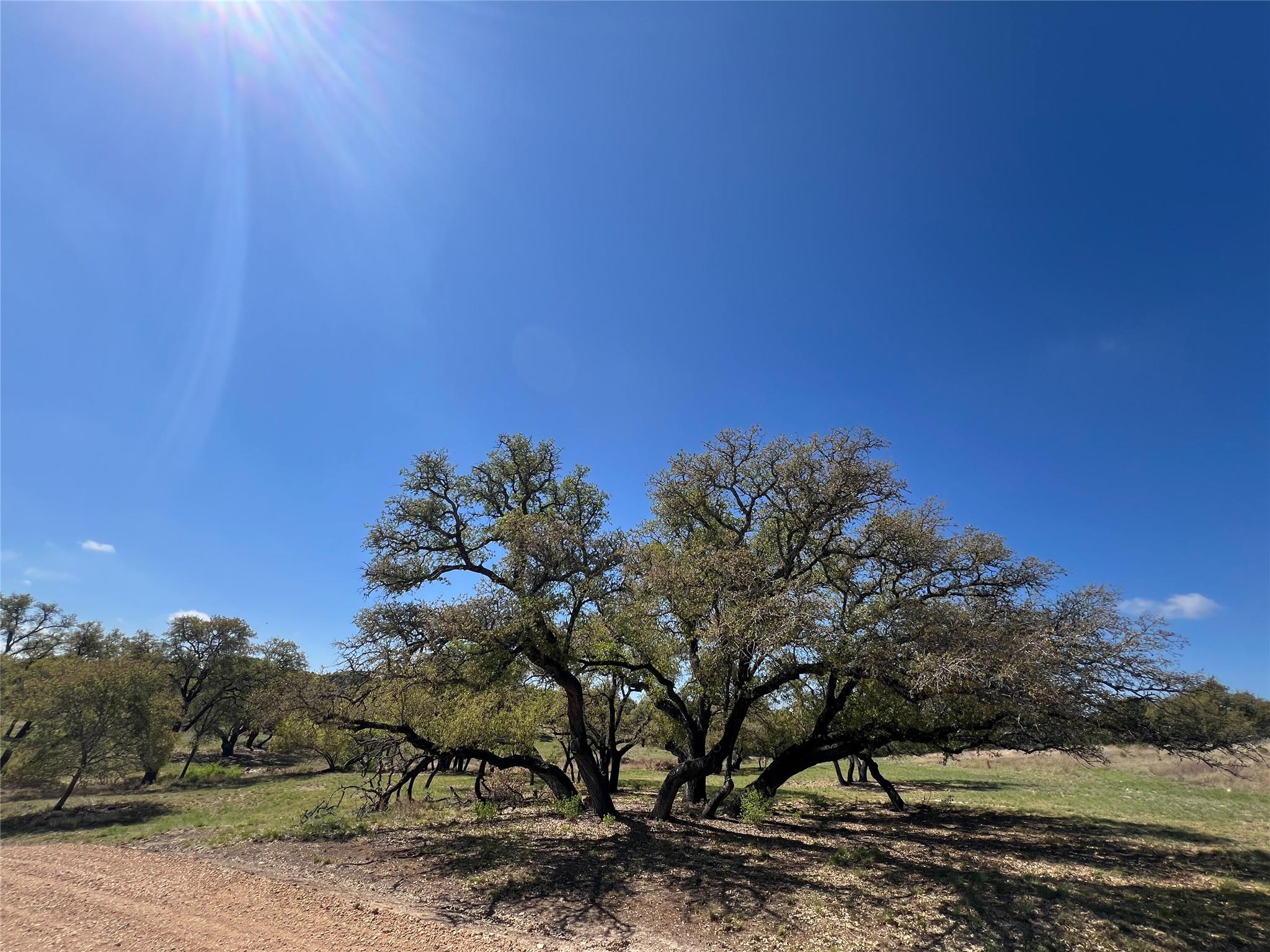 1 Barlow Dr, Briggs, TX 78608