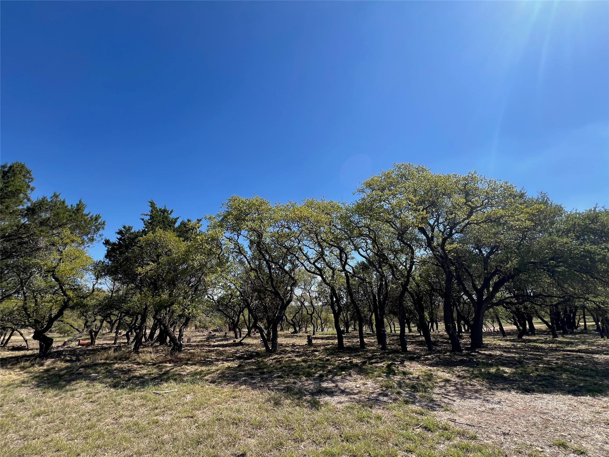 1 Barlow Dr, Briggs, TX 78608