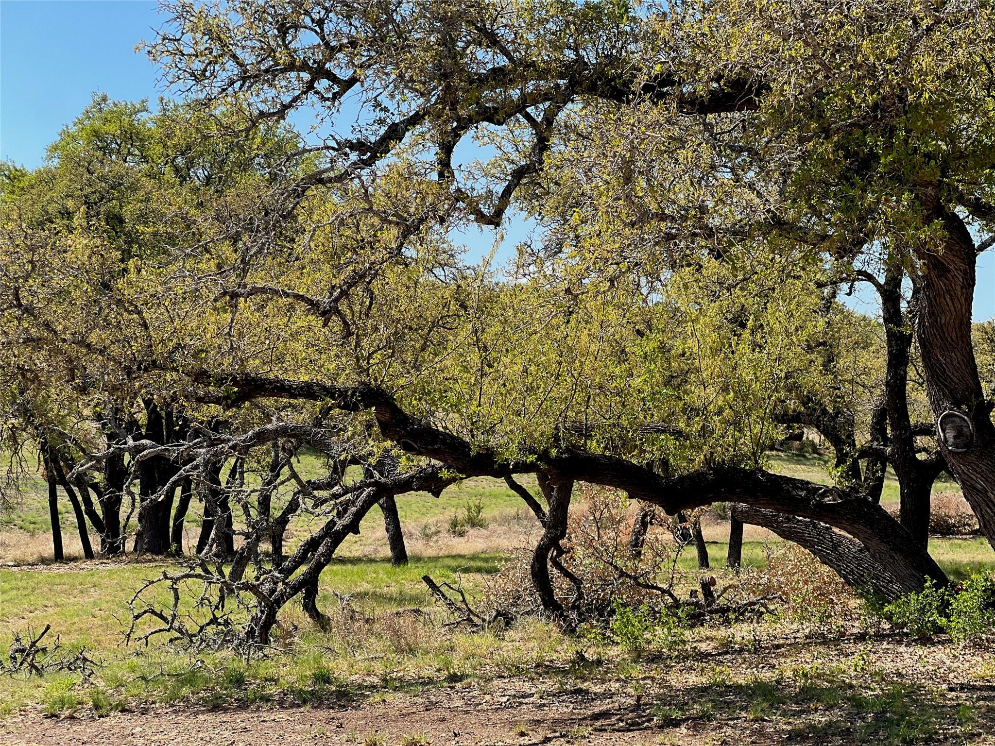 1 Barlow Dr, Briggs, TX 78608