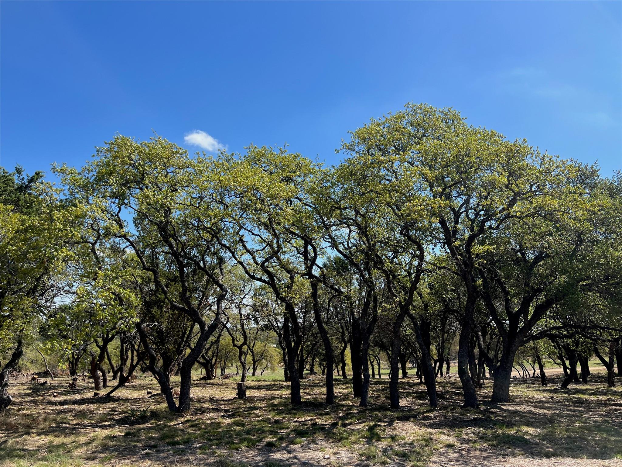 1 Barlow Dr, Briggs, TX 78608