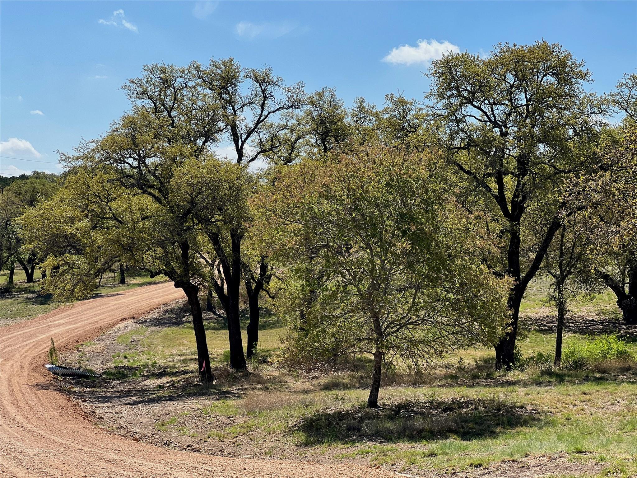 1 Barlow Dr, Briggs, TX 78608