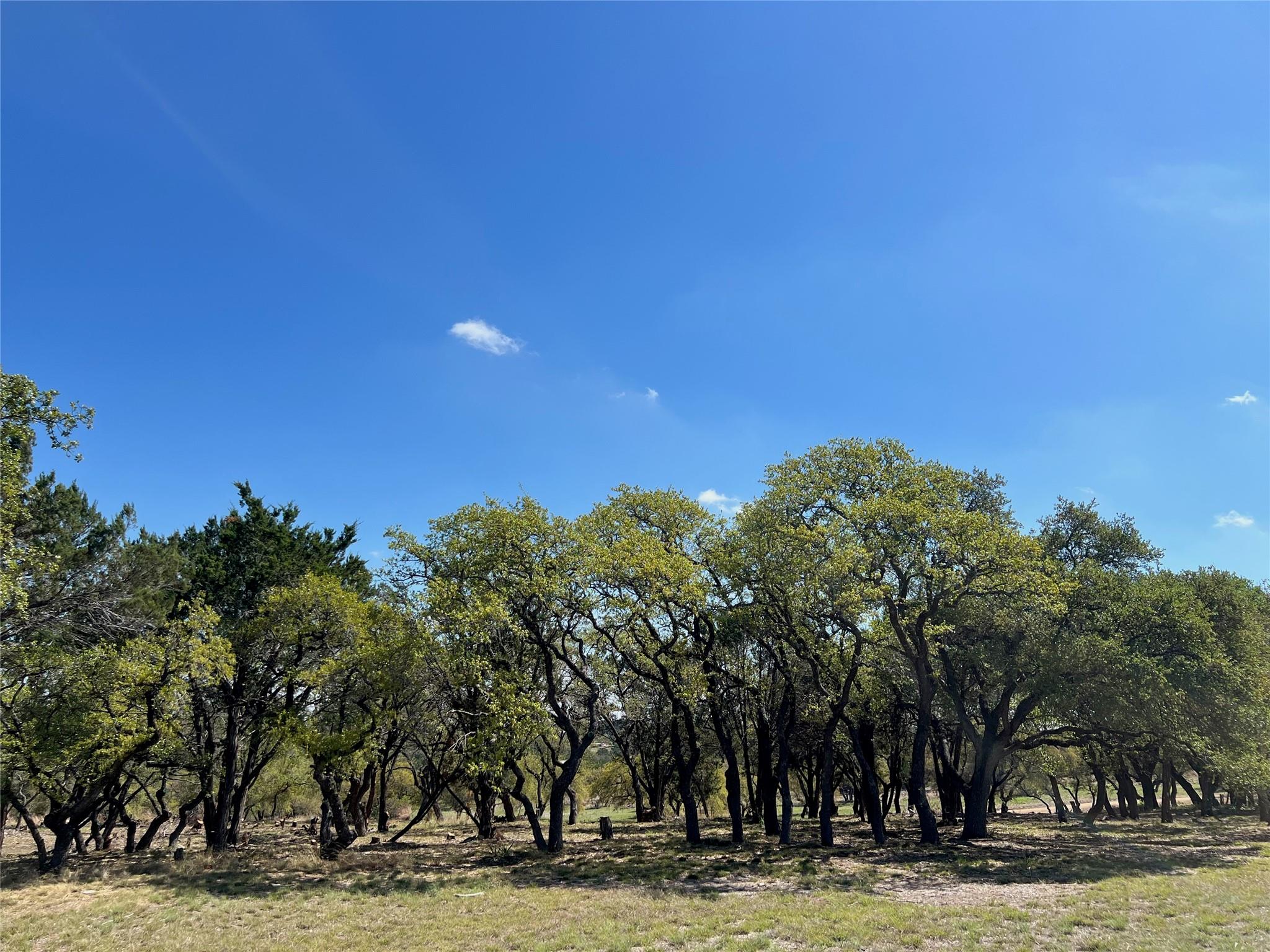 1 Barlow Dr, Briggs, TX 78608