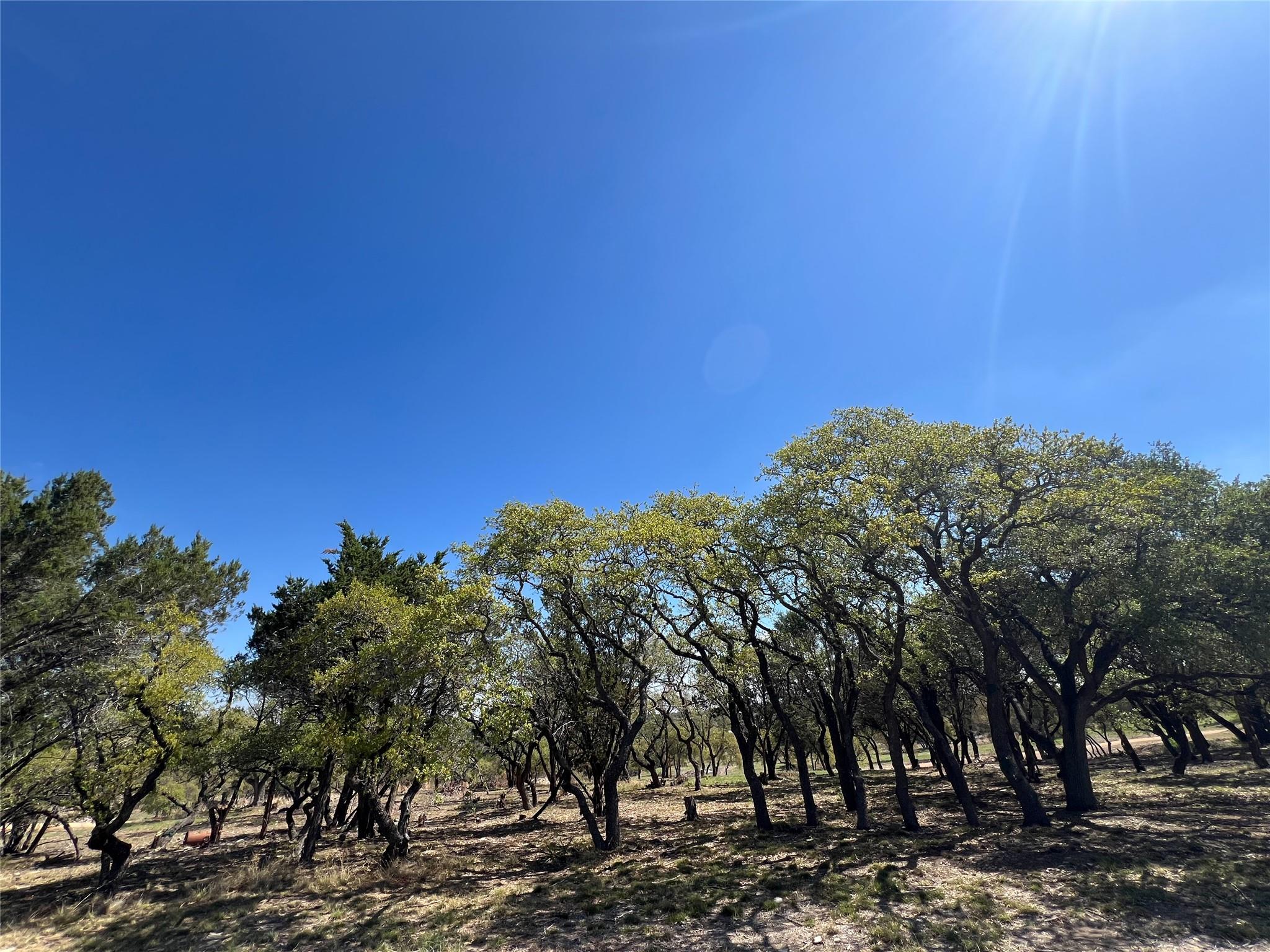 1 Barlow Dr, Briggs, TX 78608