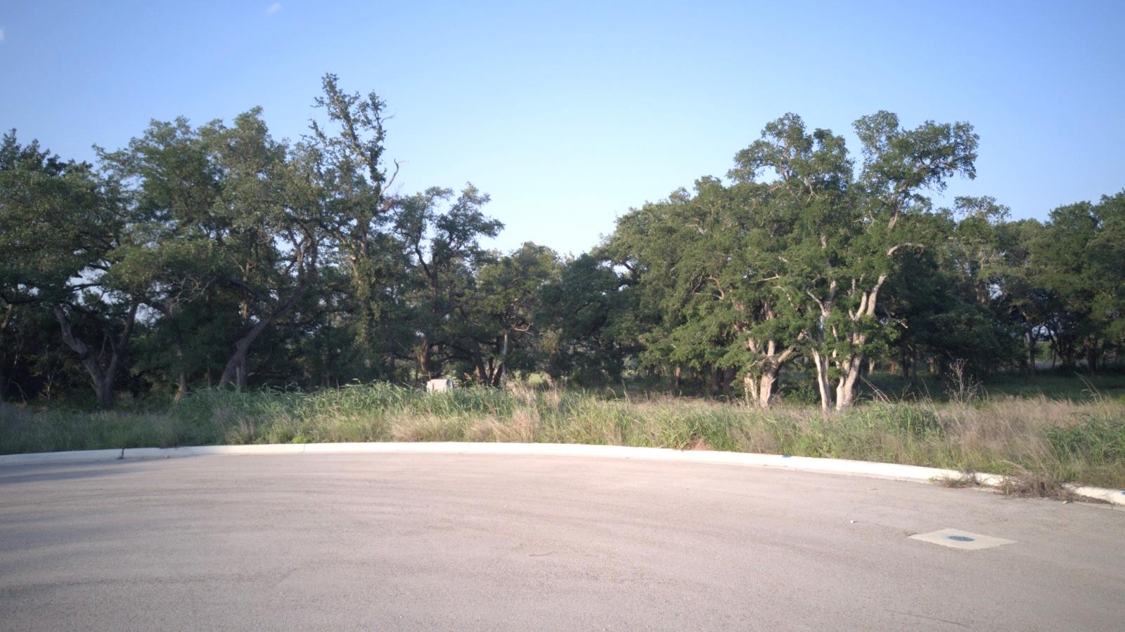 115 W Rio Ranch Rd, Liberty Hill, TX 78642