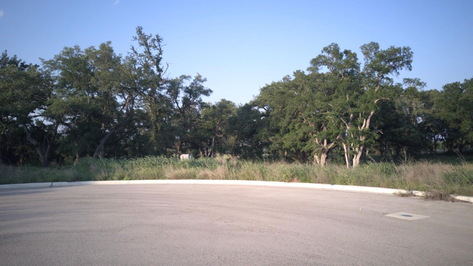 115 W Rio Ranch Rd, Liberty Hill, TX 78642