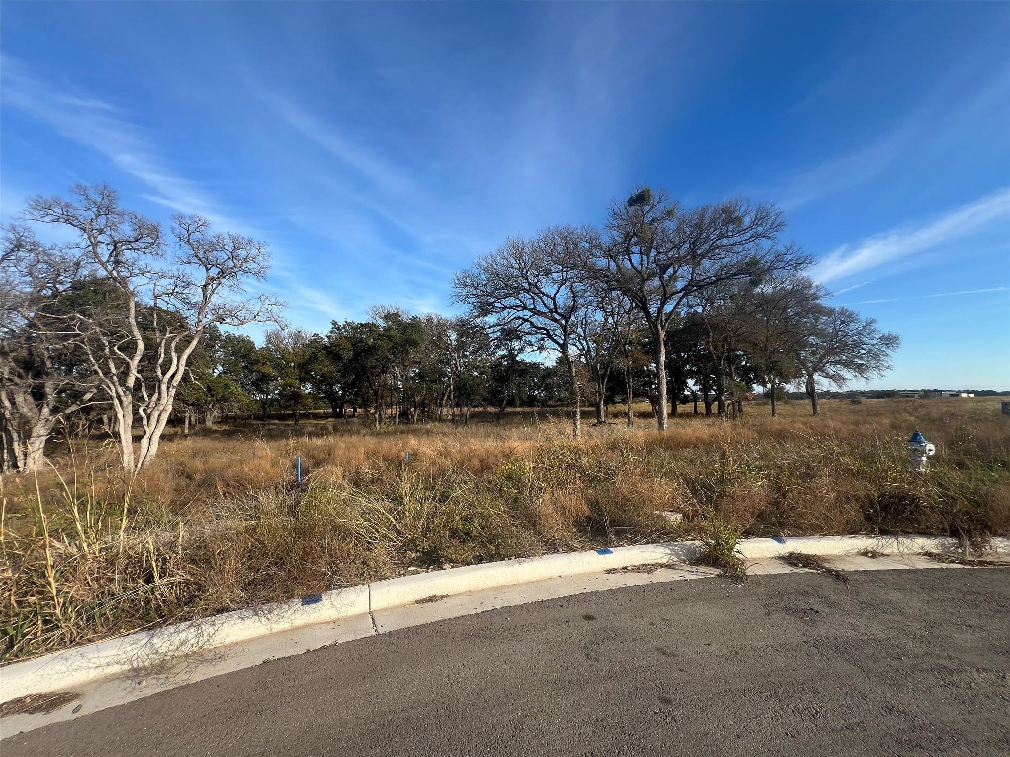 115 W Rio Ranch Rd, Liberty Hill, TX 78642