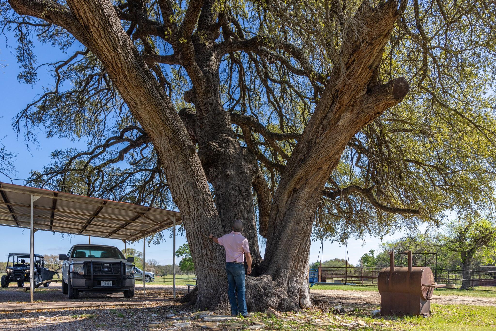 10250 E Fm 501, San Saba, TX 76877