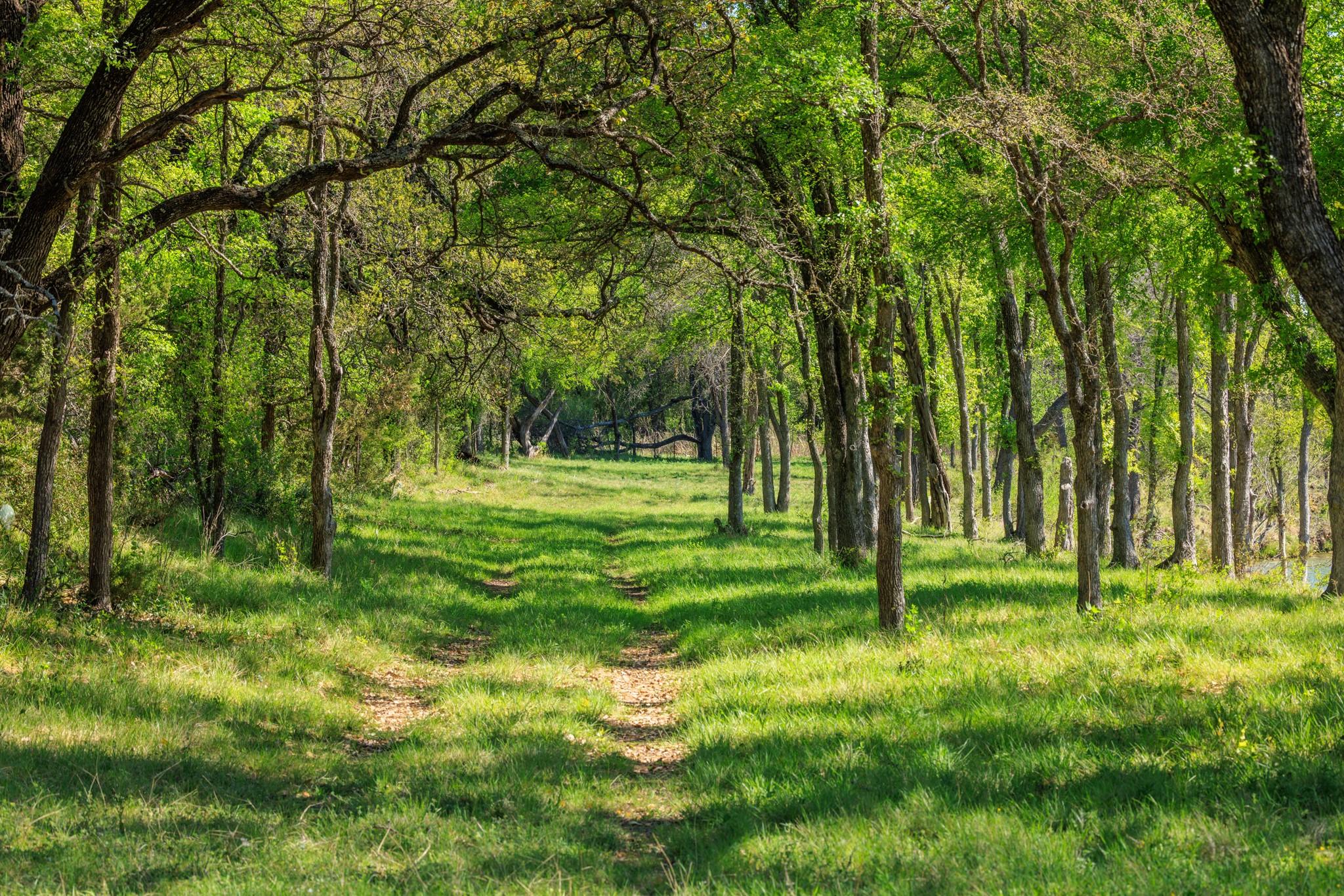 10250 E Fm 501, San Saba, TX 76877