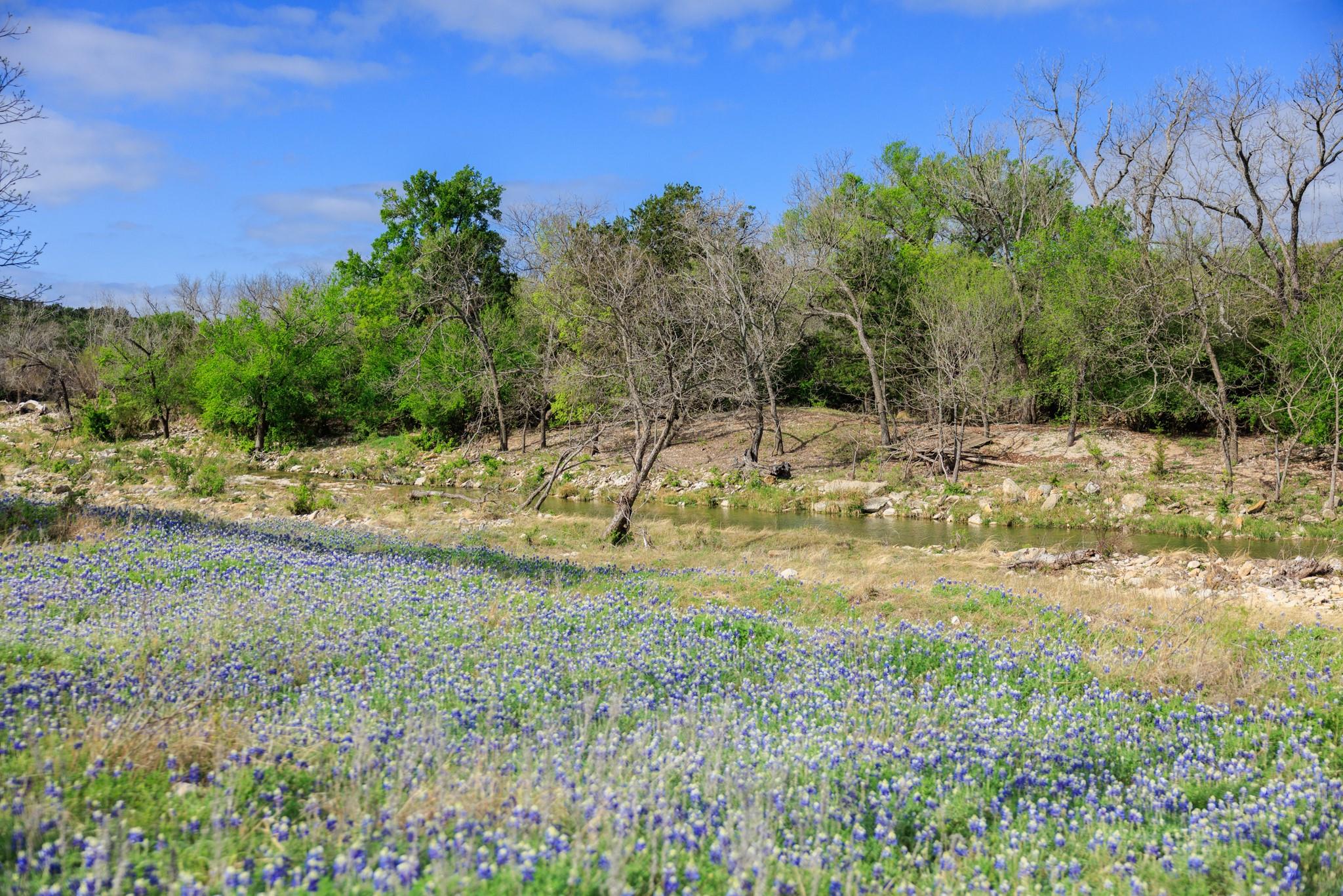 10250 E Fm 501, San Saba, TX 76877