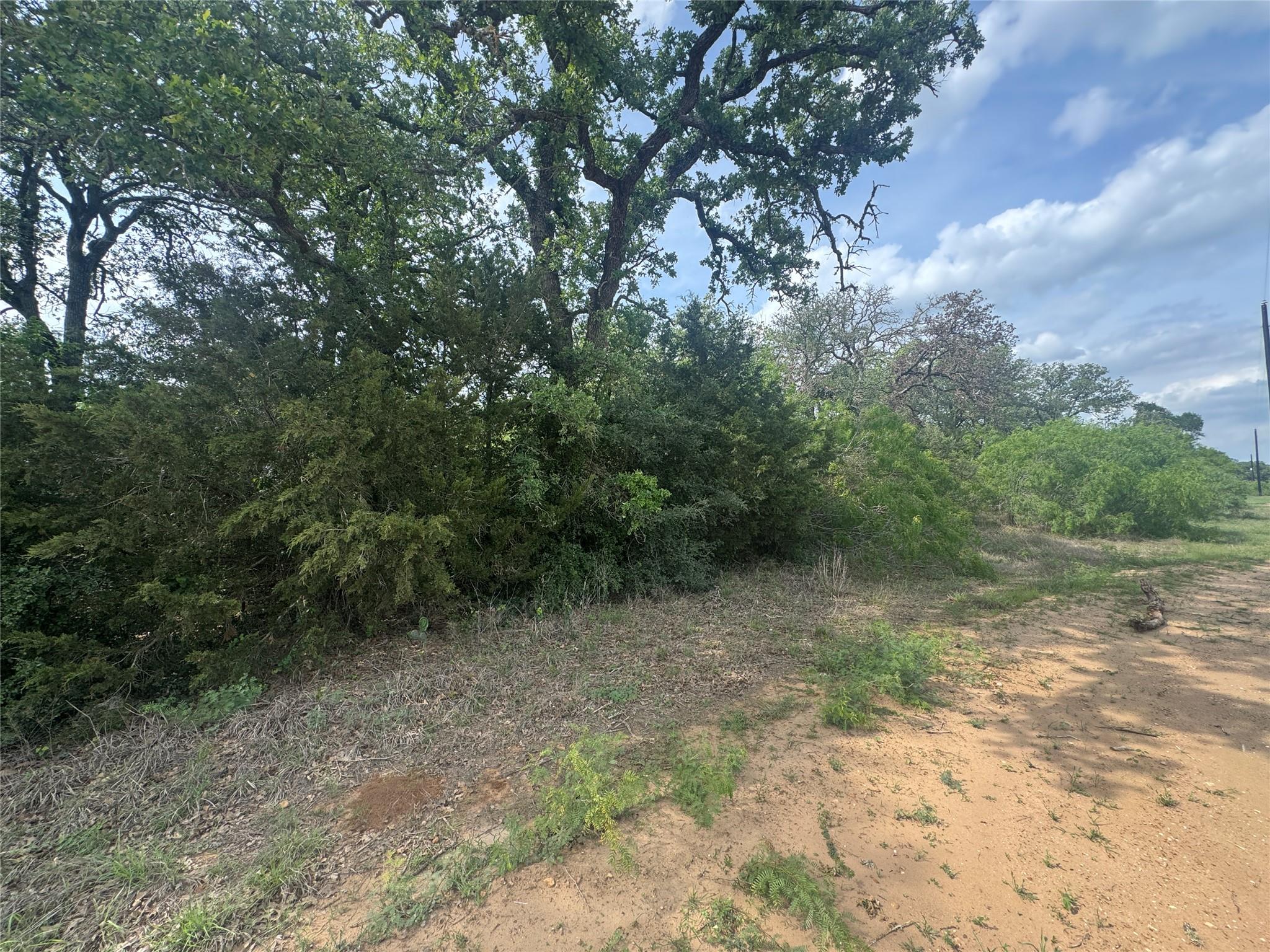 104 Cisco Ct, Cedar Creek, TX 78612