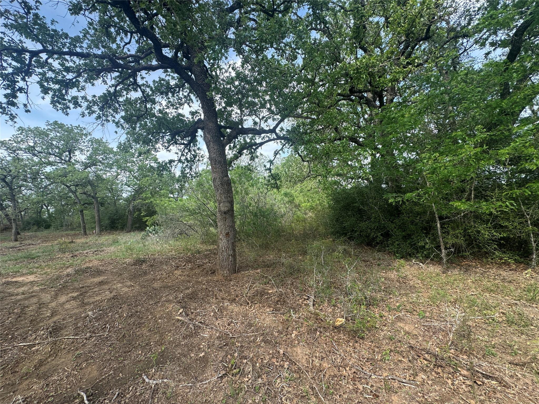 104 Cisco Ct, Cedar Creek, TX 78612