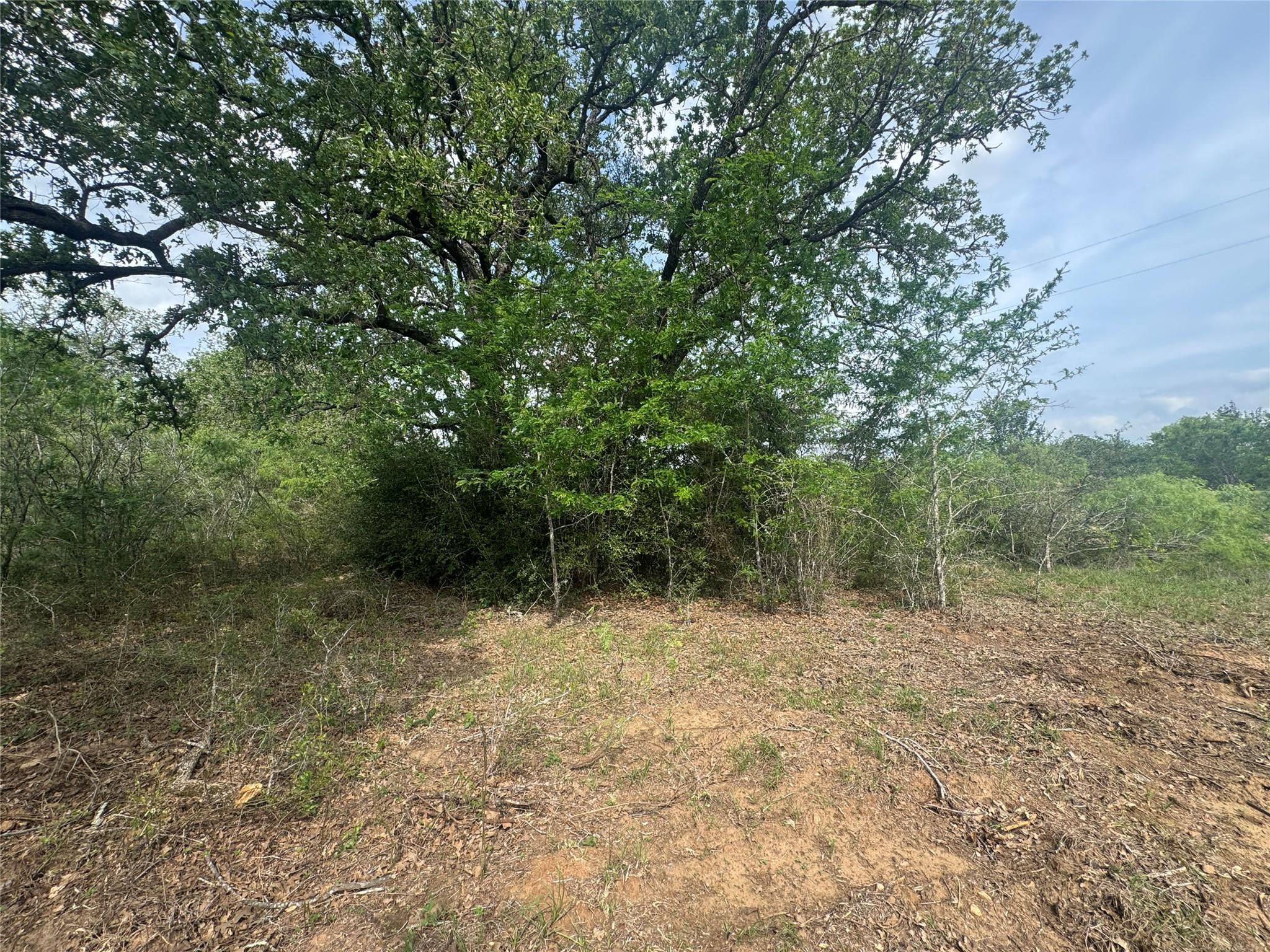 104 Cisco Ct, Cedar Creek, TX 78612