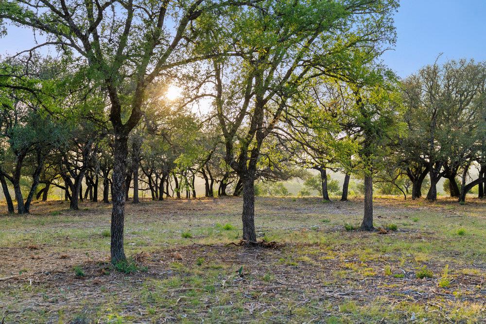Spicewood, TX 78669