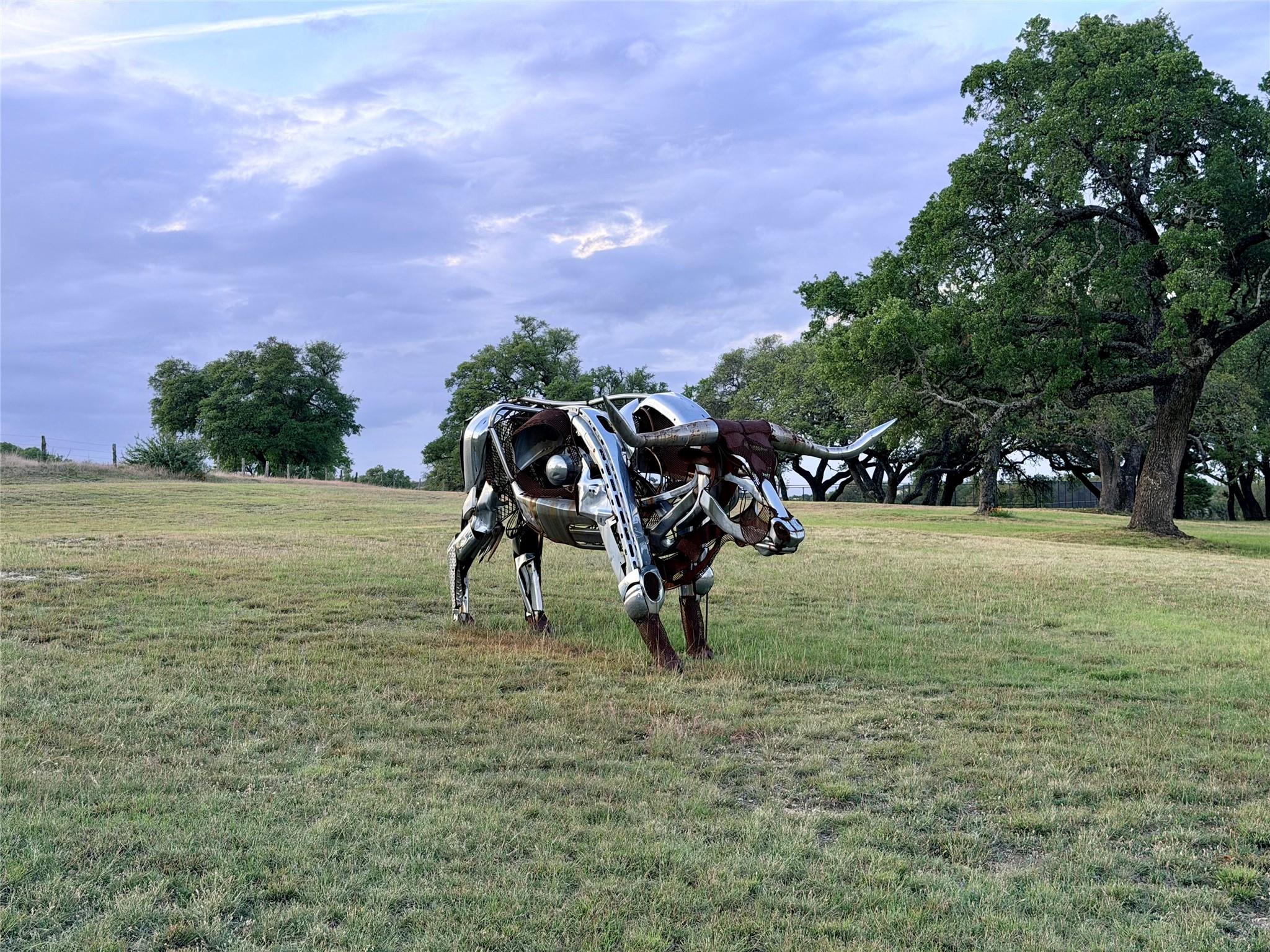 768 N Walnut Springs Rd, Johnson City, TX 78636