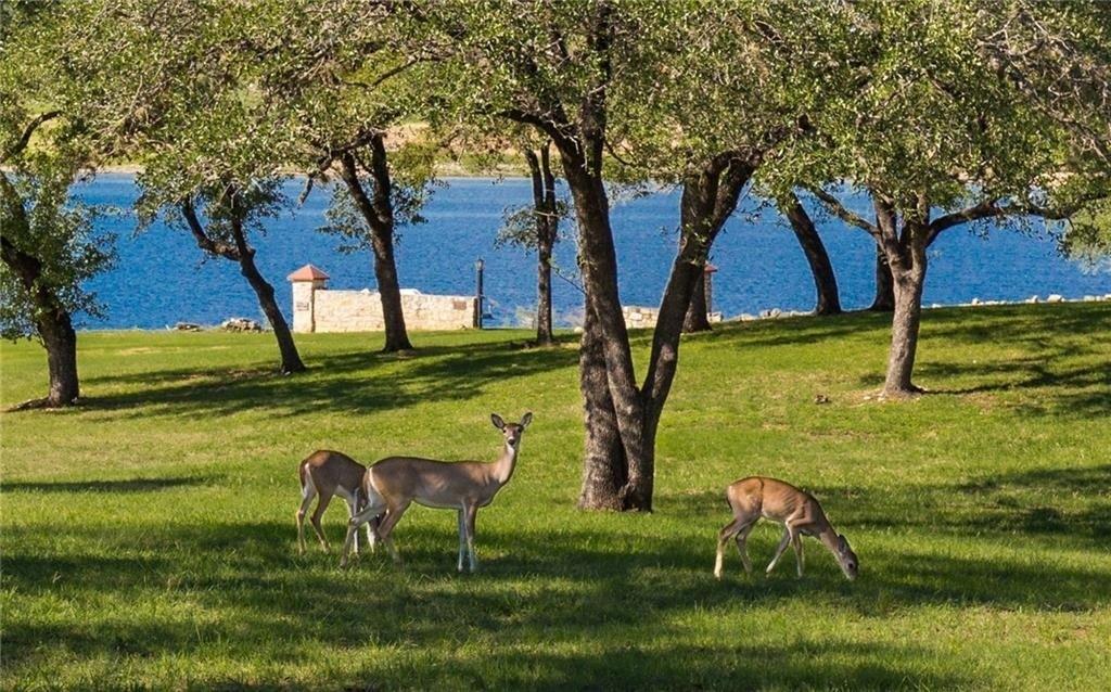 20601 Buckskin Rdg, Lago Vista, TX 78645