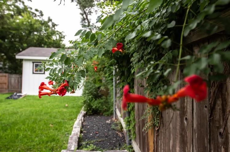 9802 Kendal Dr, Austin, TX 78753