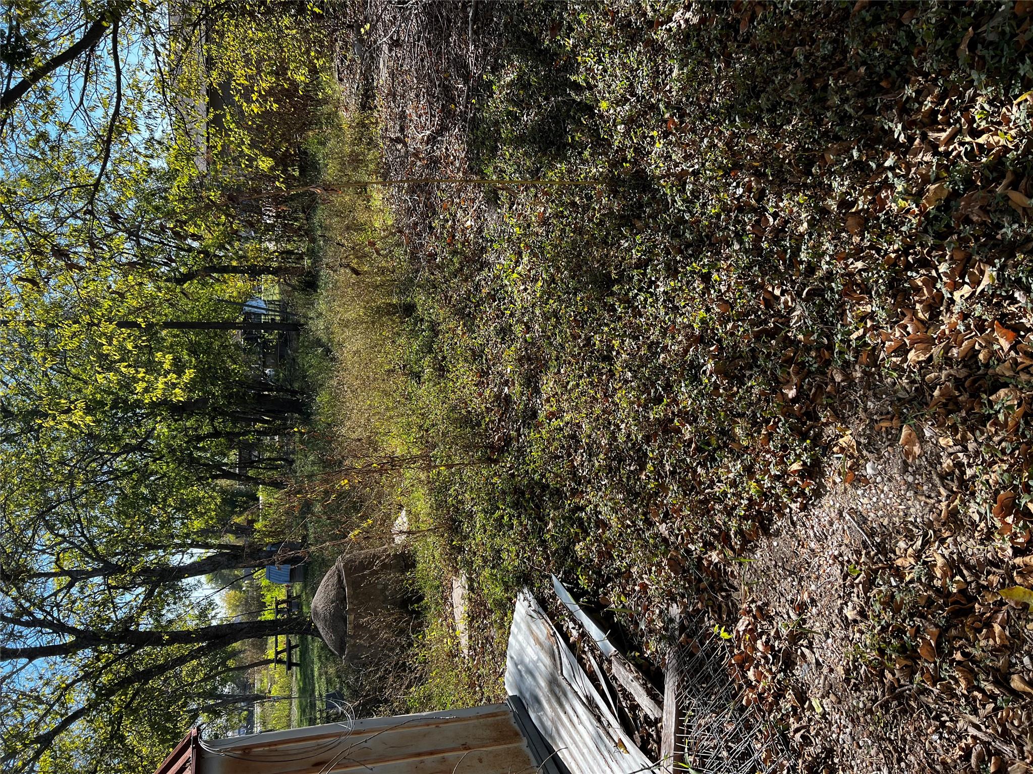 102 E Carrie Manor St, Manor, TX 78653