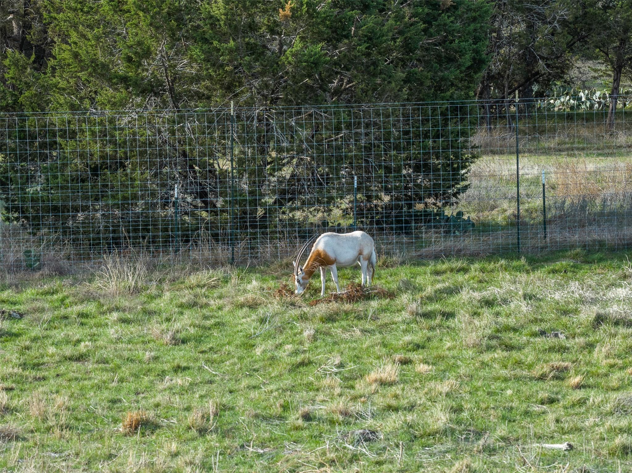 8901 County Road 108, Burnet, TX 78611