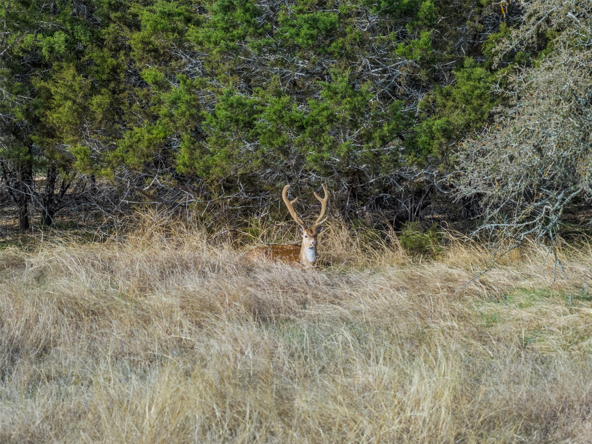 8901 County Road 108, Burnet, TX 78611