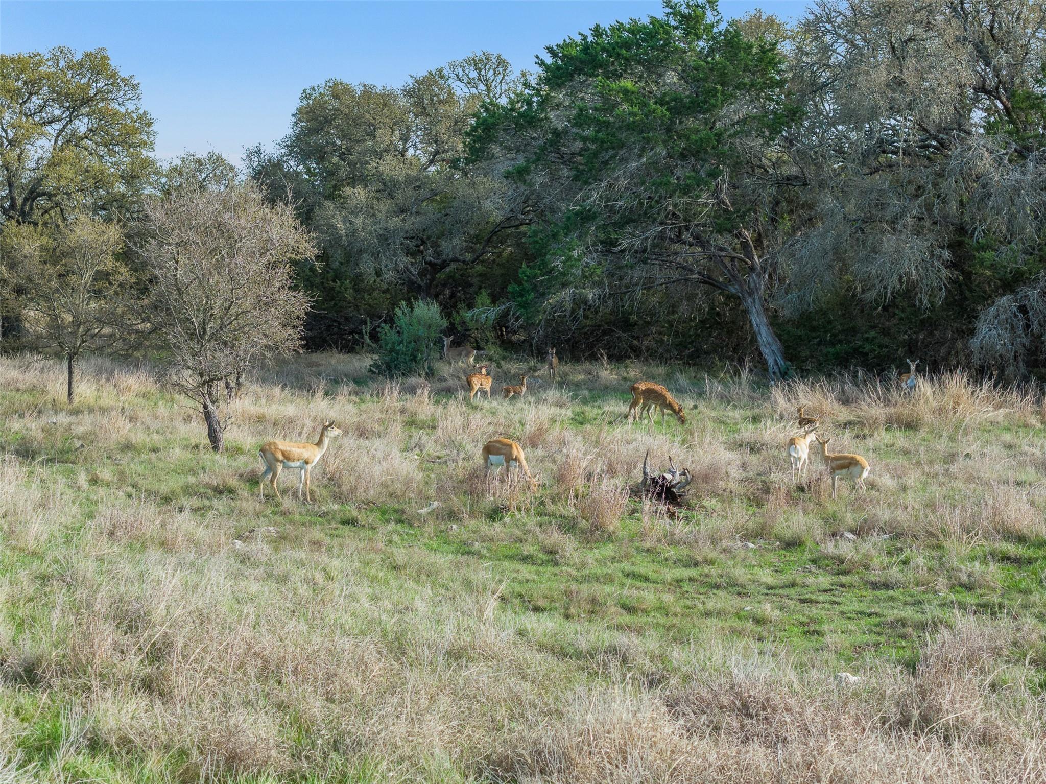 8901 County Road 108, Burnet, TX 78611