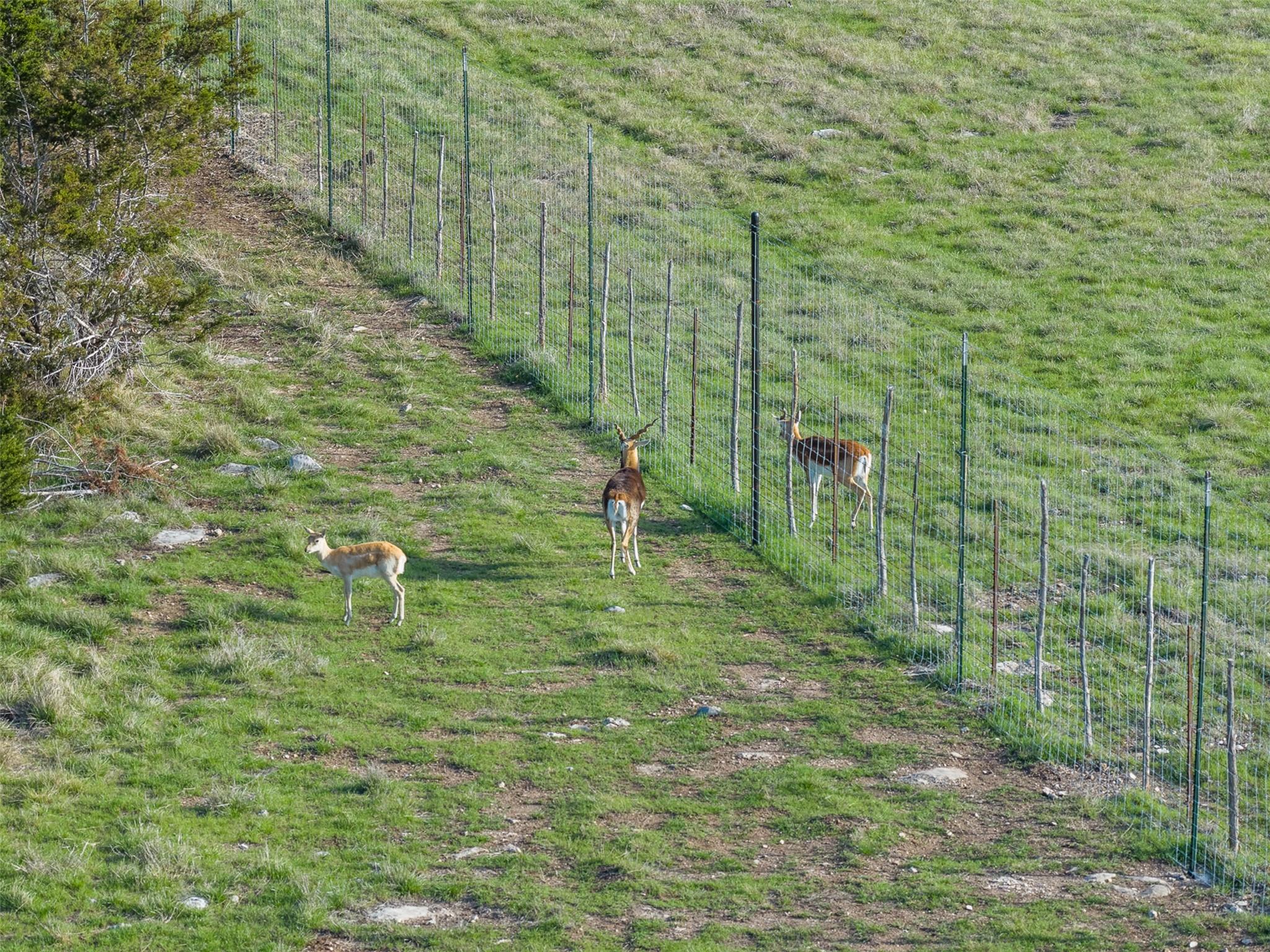 8901 County Road 108, Burnet, TX 78611