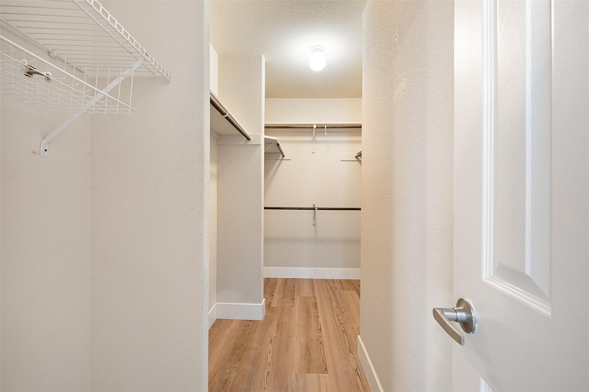 8528 Chick Pea Ln, Austin, TX 78748