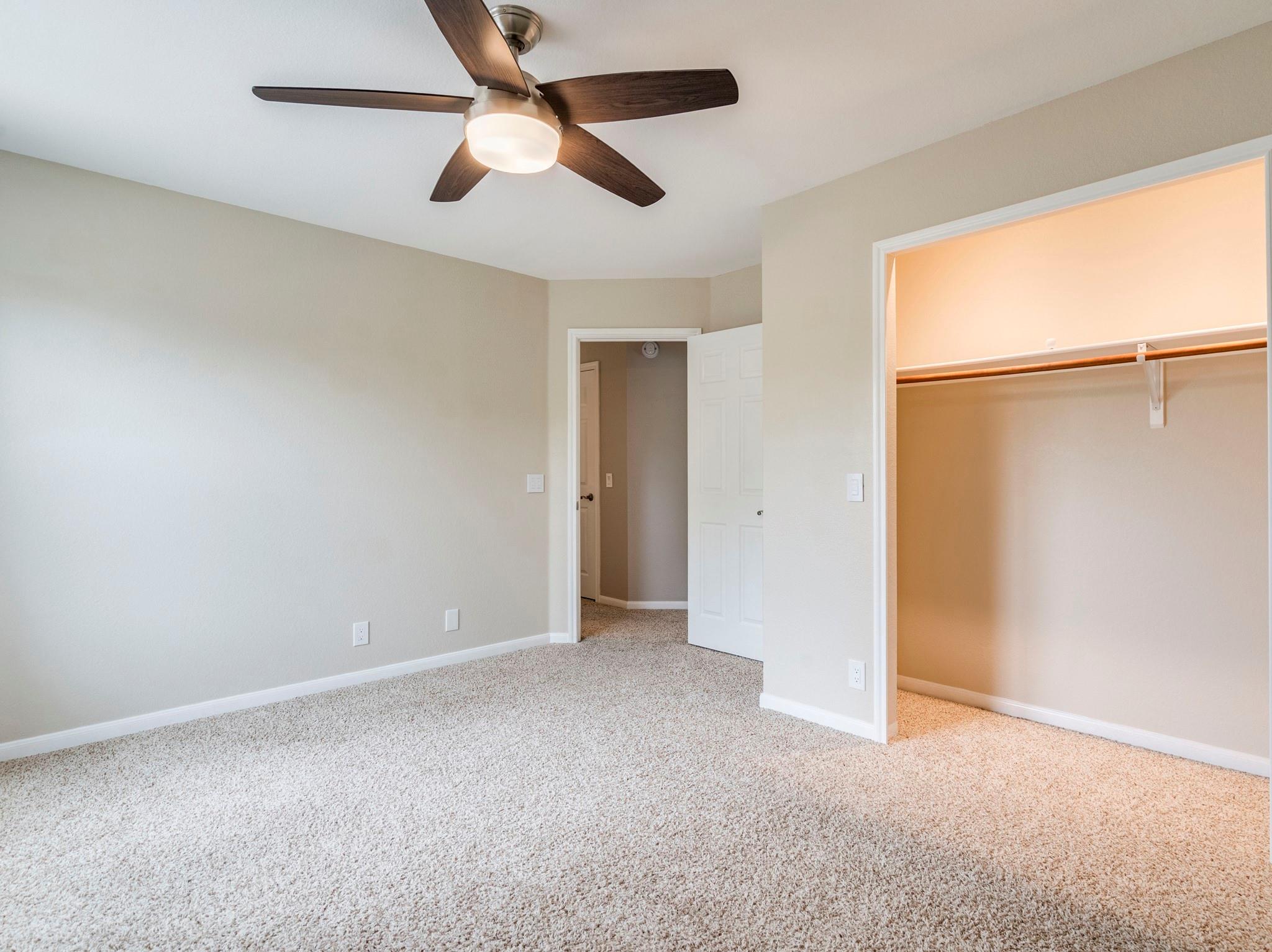 1608 War Horse Ln, Round Rock, TX 78664