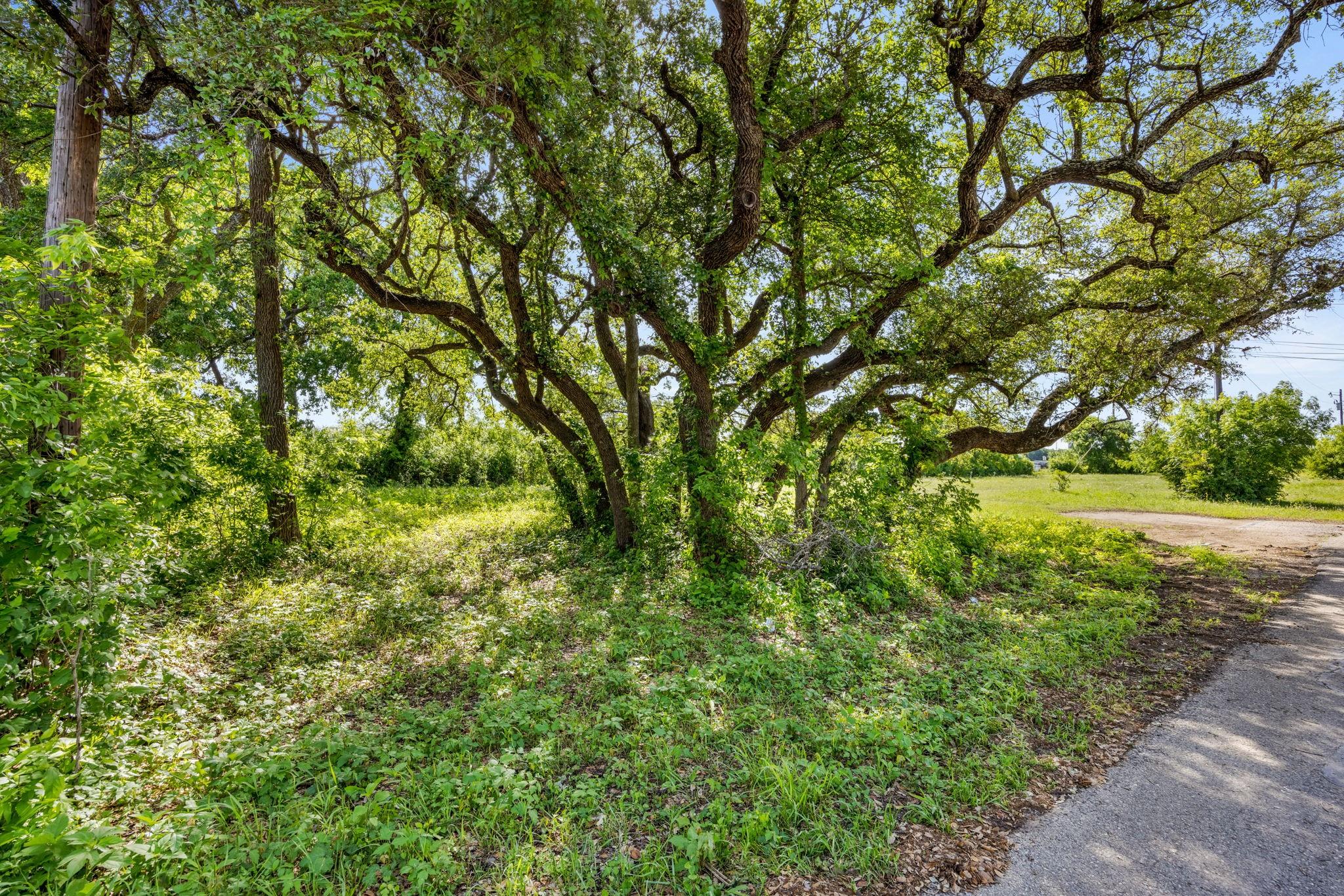 2704 Poplar Ln, Cedar Park, TX 78613