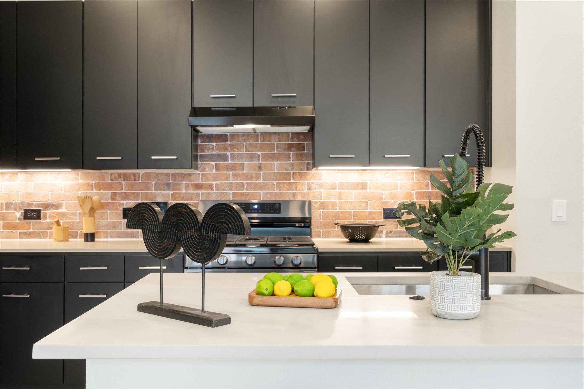 4510 Terry-O Ln # 341, Austin, TX 78745