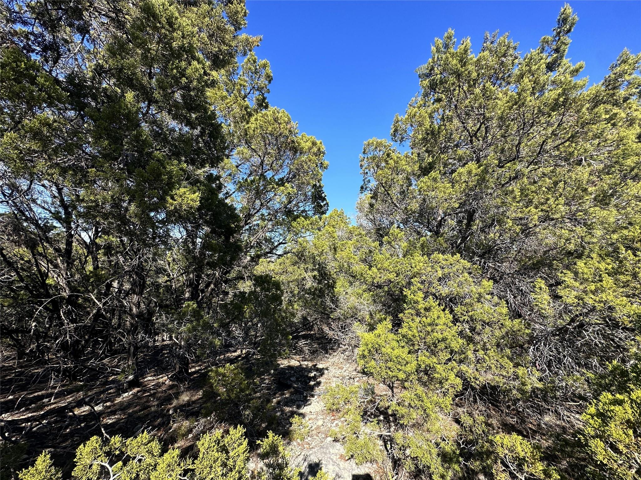 6402 Cimmaron Trl, Leander, TX 78645