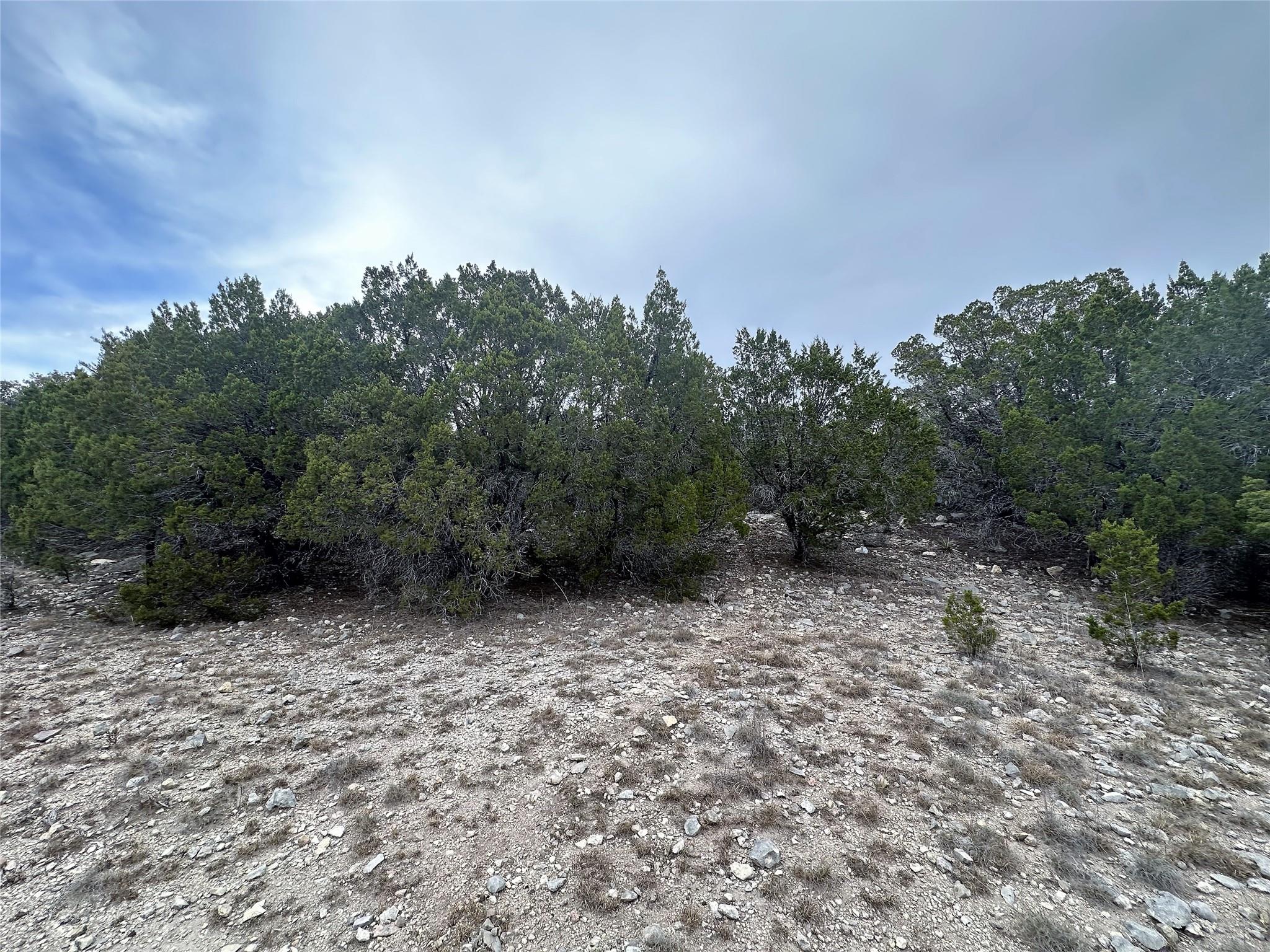 3105 Pilgrim Cv, Leander, TX 78645