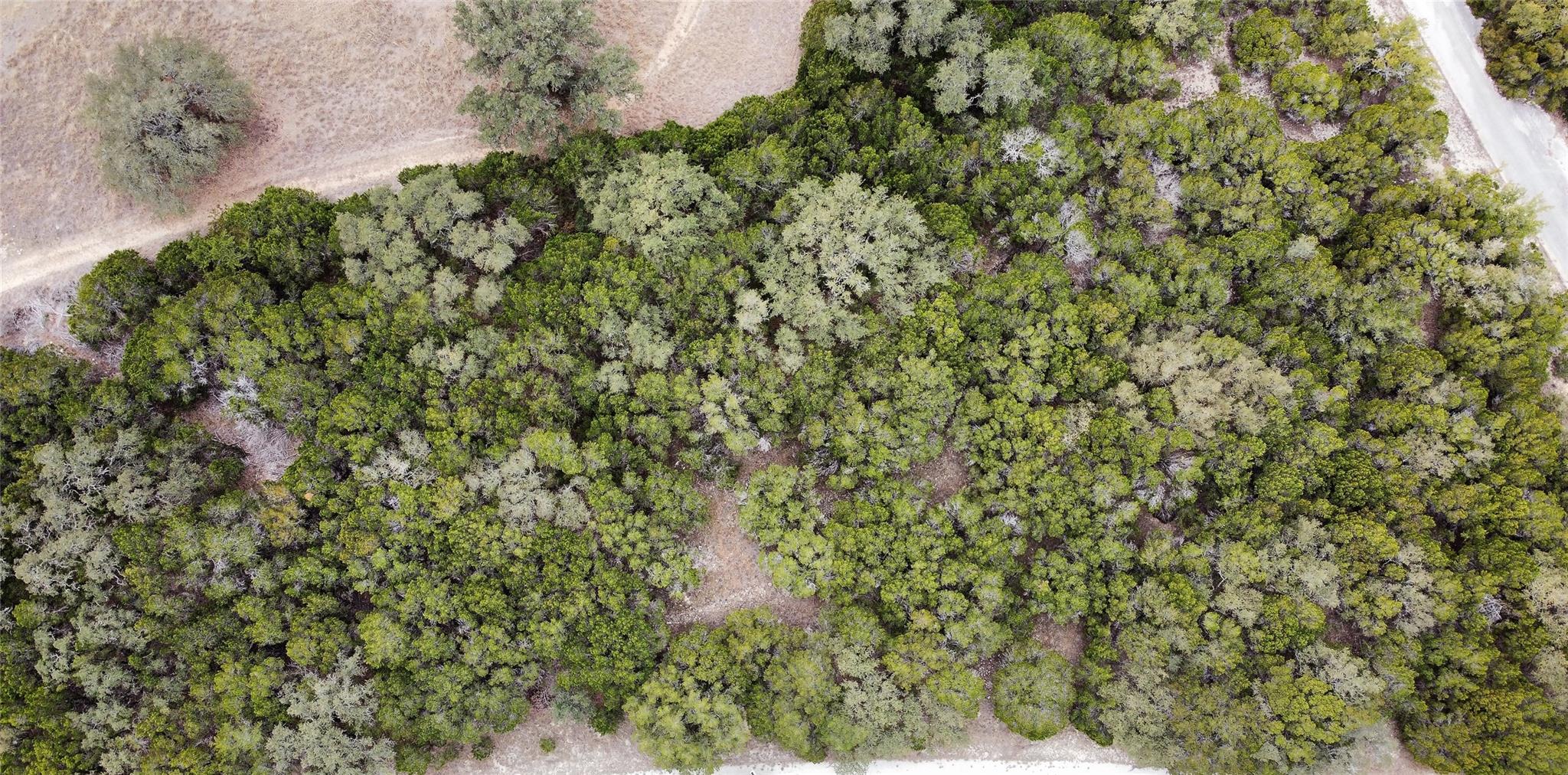 8446 Corral Ln, Lago Vista, TX 78645