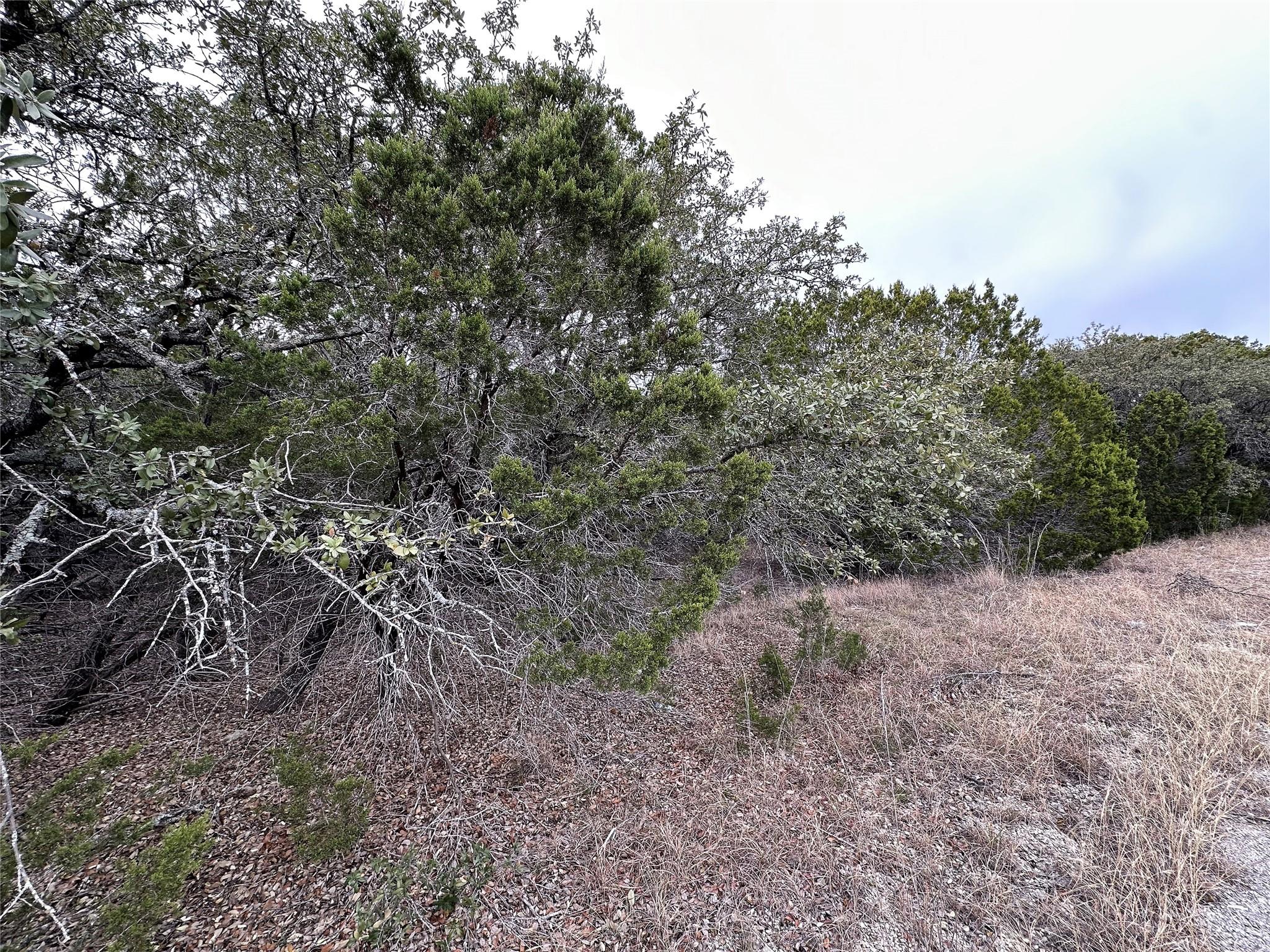 8446 Corral Ln, Lago Vista, TX 78645