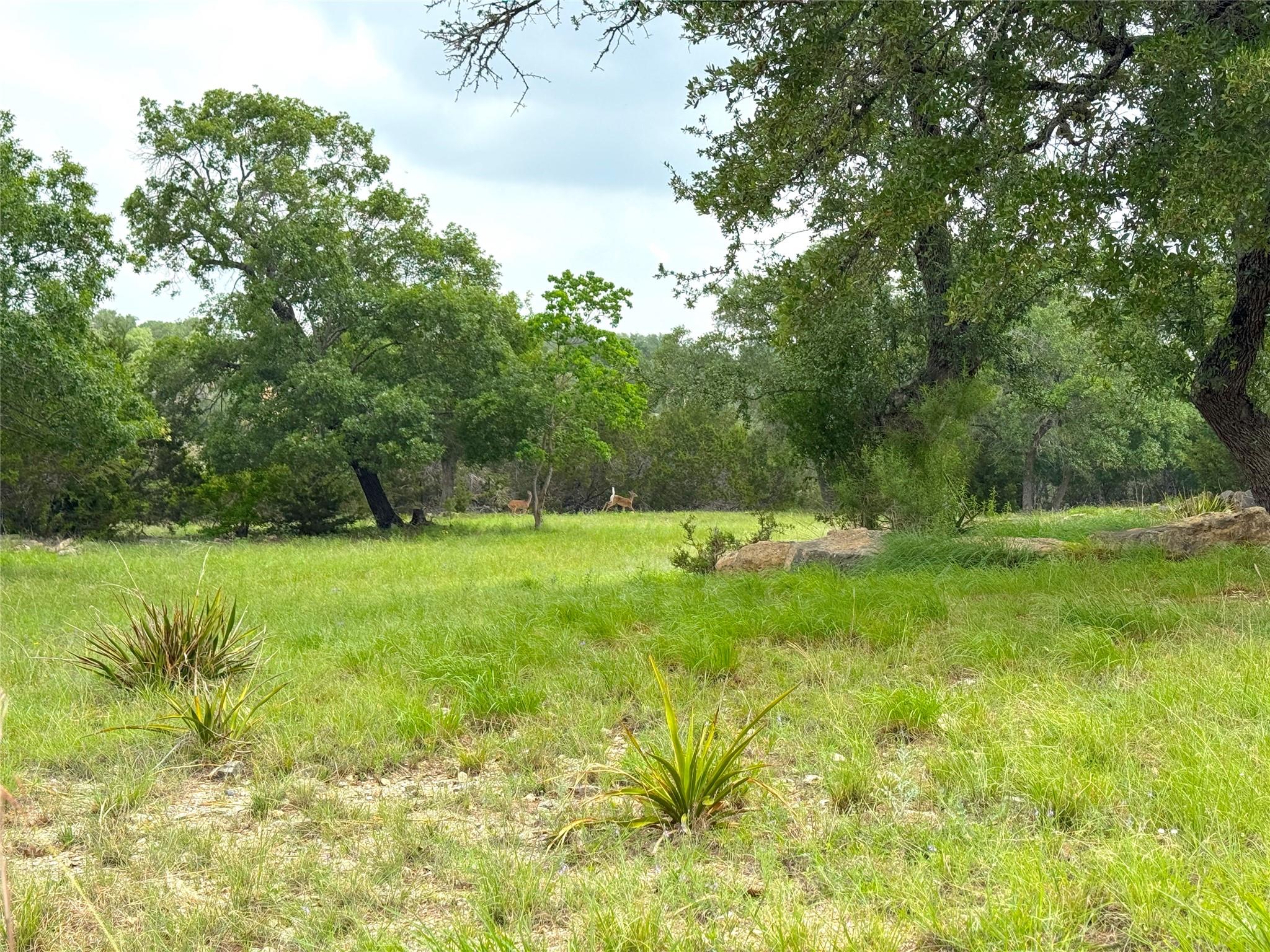 726 Caballo Trl, Canyon Lake, TX 78133